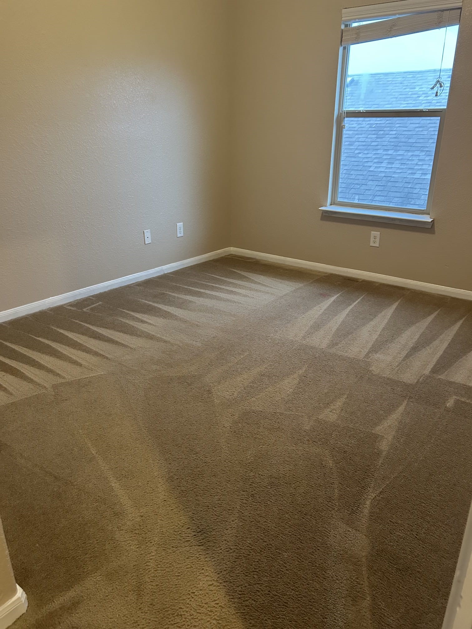 26903 Glacier Creek Drive Property Photo 6