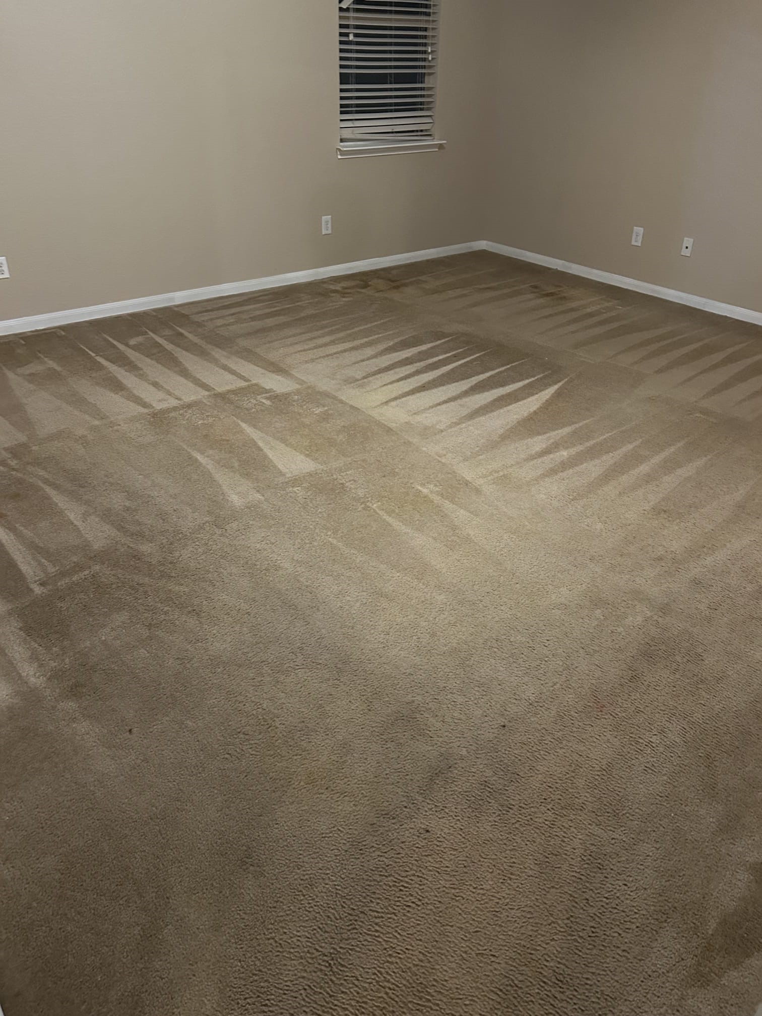 26903 Glacier Creek Drive Property Photo 8