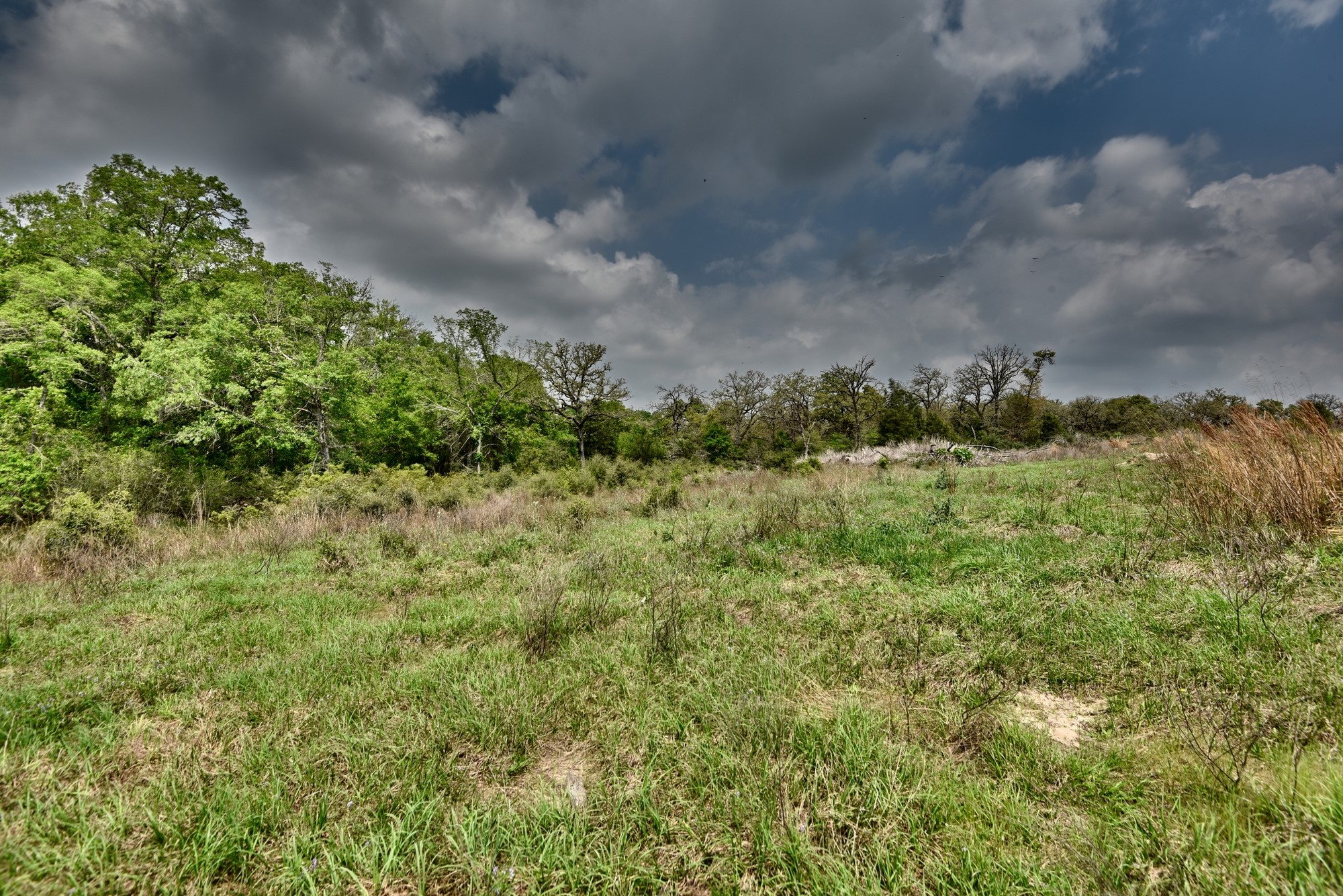 Tbd (26 Acres) County Road 445 Property Photo 22