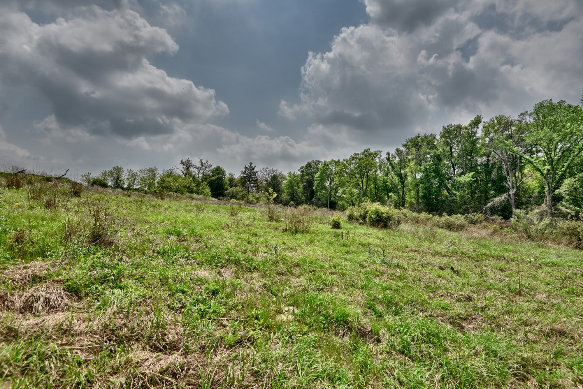 Tbd (26 Acres) County Road 445 Property Photo 23