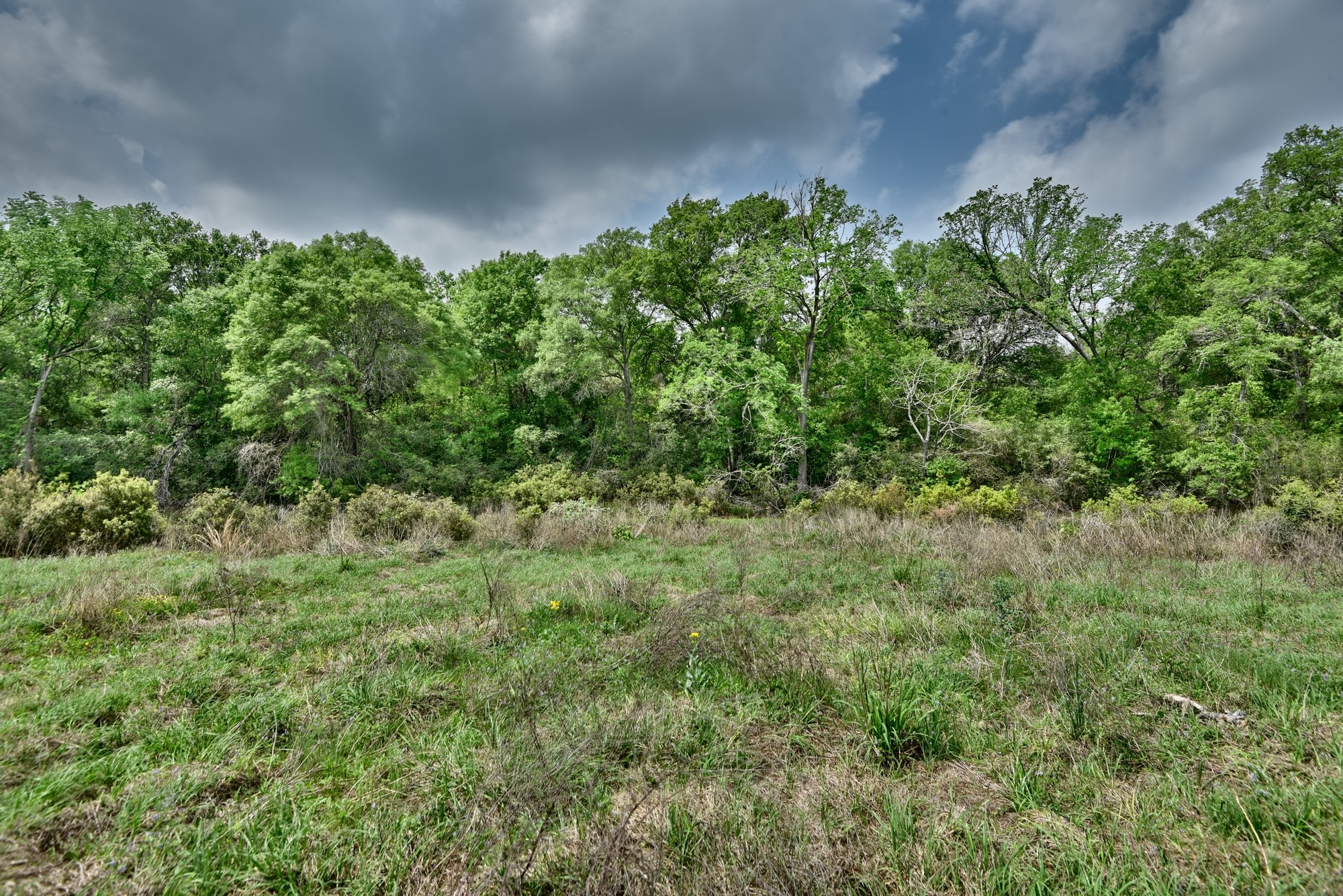 Tbd (26 Acres) County Road 445 Property Photo 33