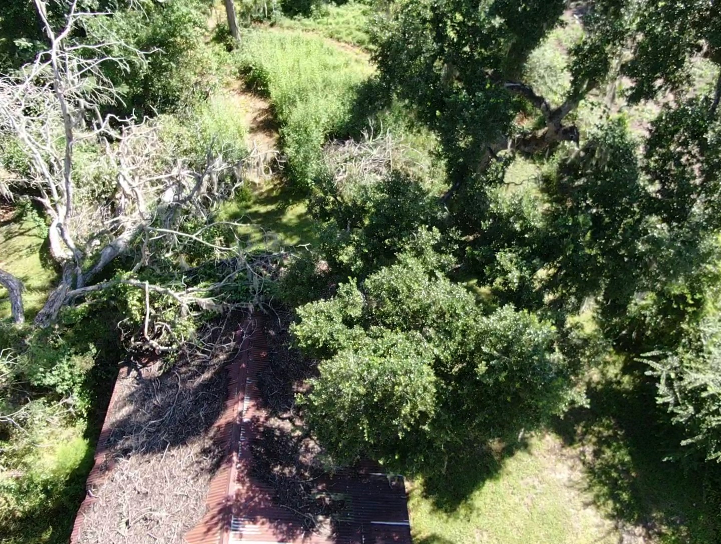 2201 S Columbia Property Photo 11