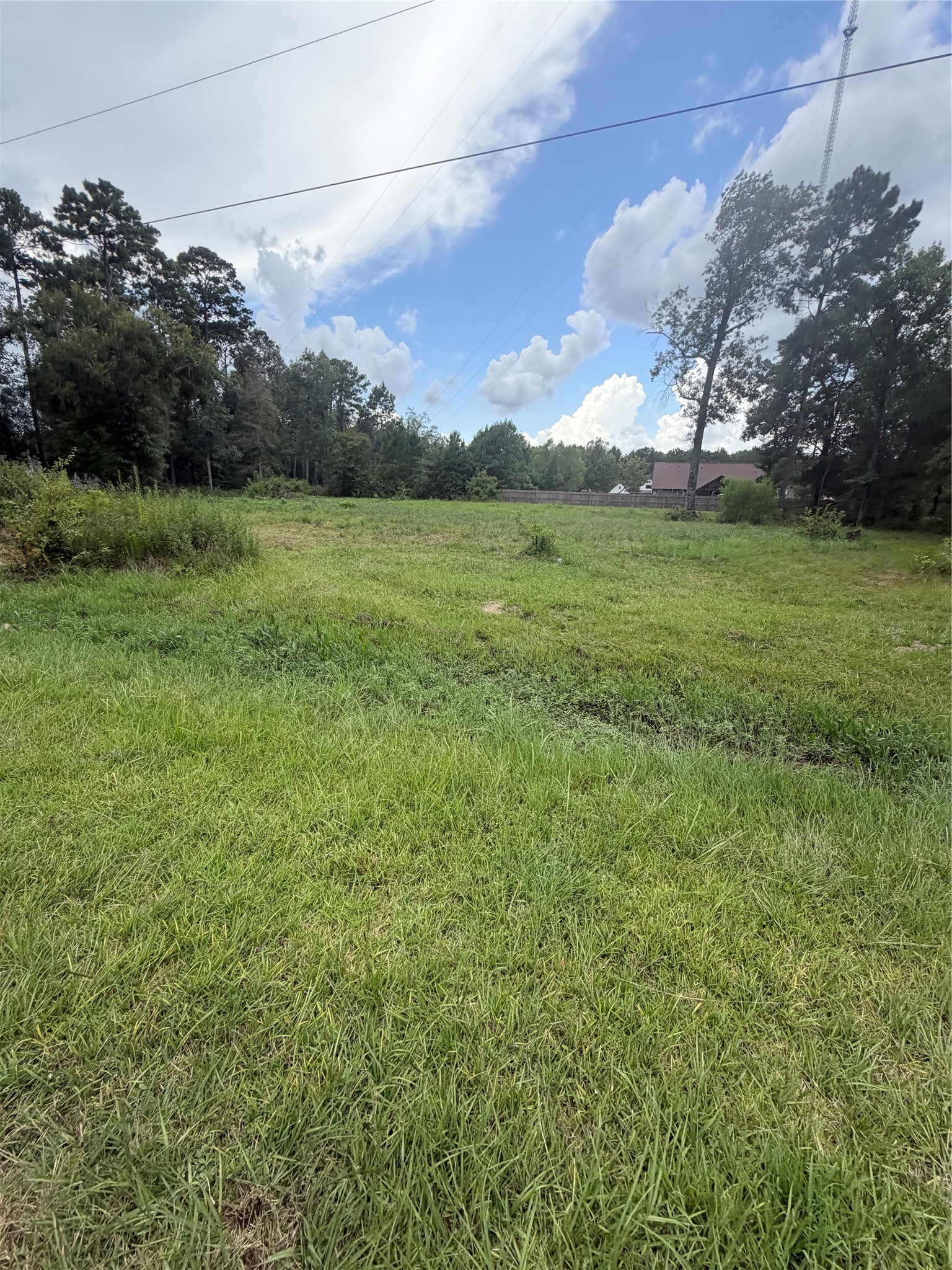 93 & 113 County Road 3669a Road Property Photo 4