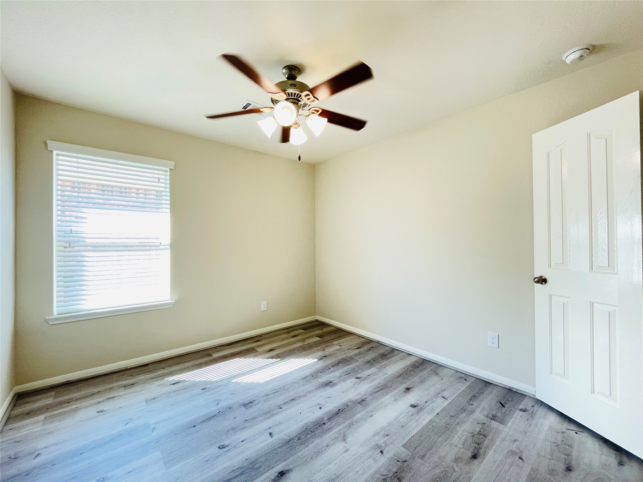 2406 Blue Reef Drive Property Photo 17