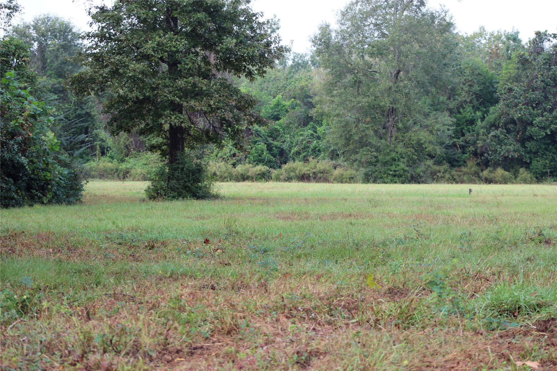938 Minglewood Road Property Photo 9