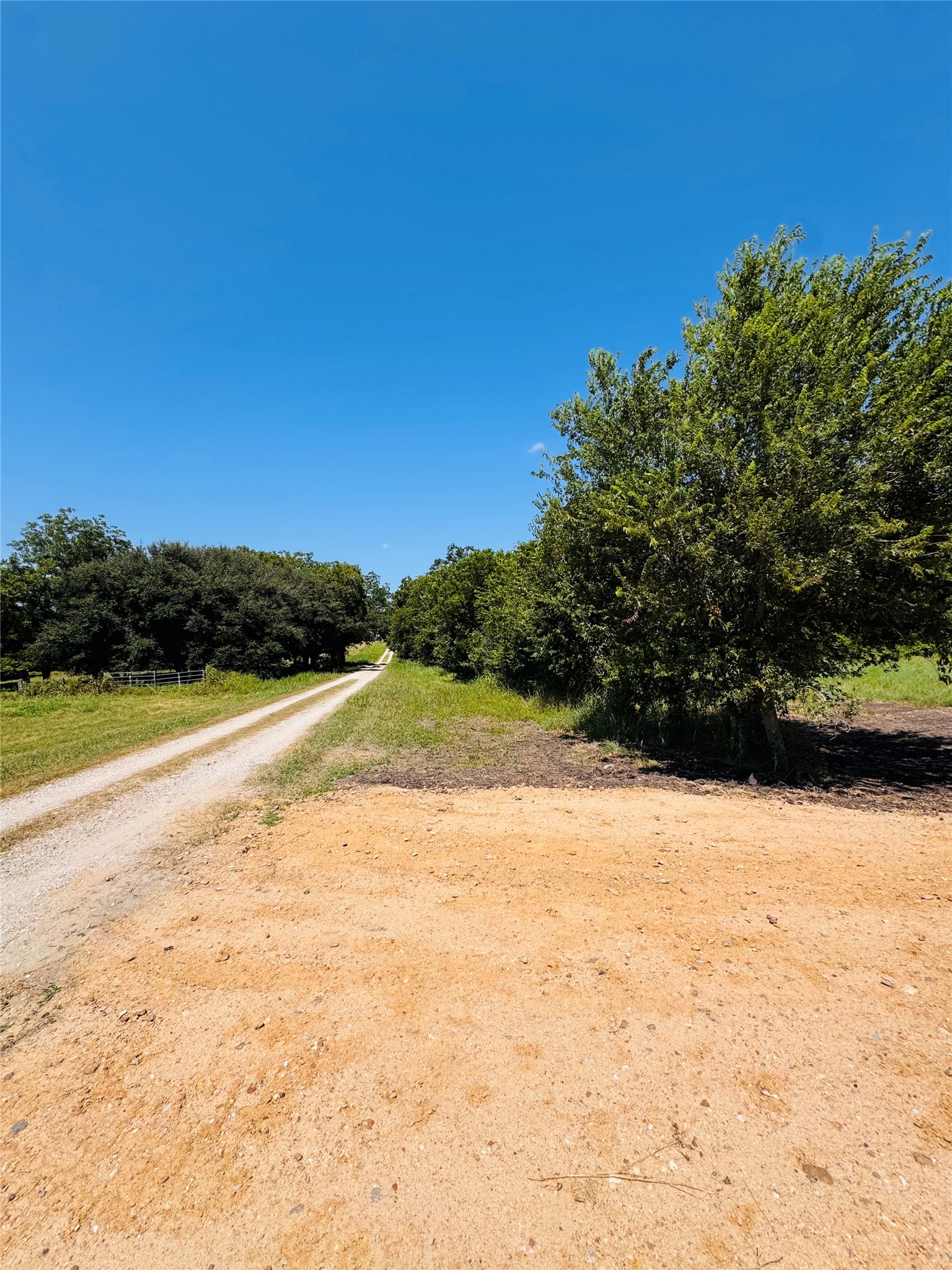 4597 Kubenka Property Photo 1