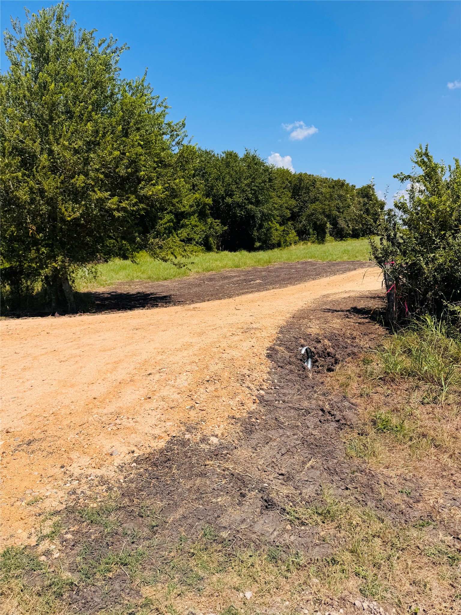 4597 Kubenka Property Photo 3