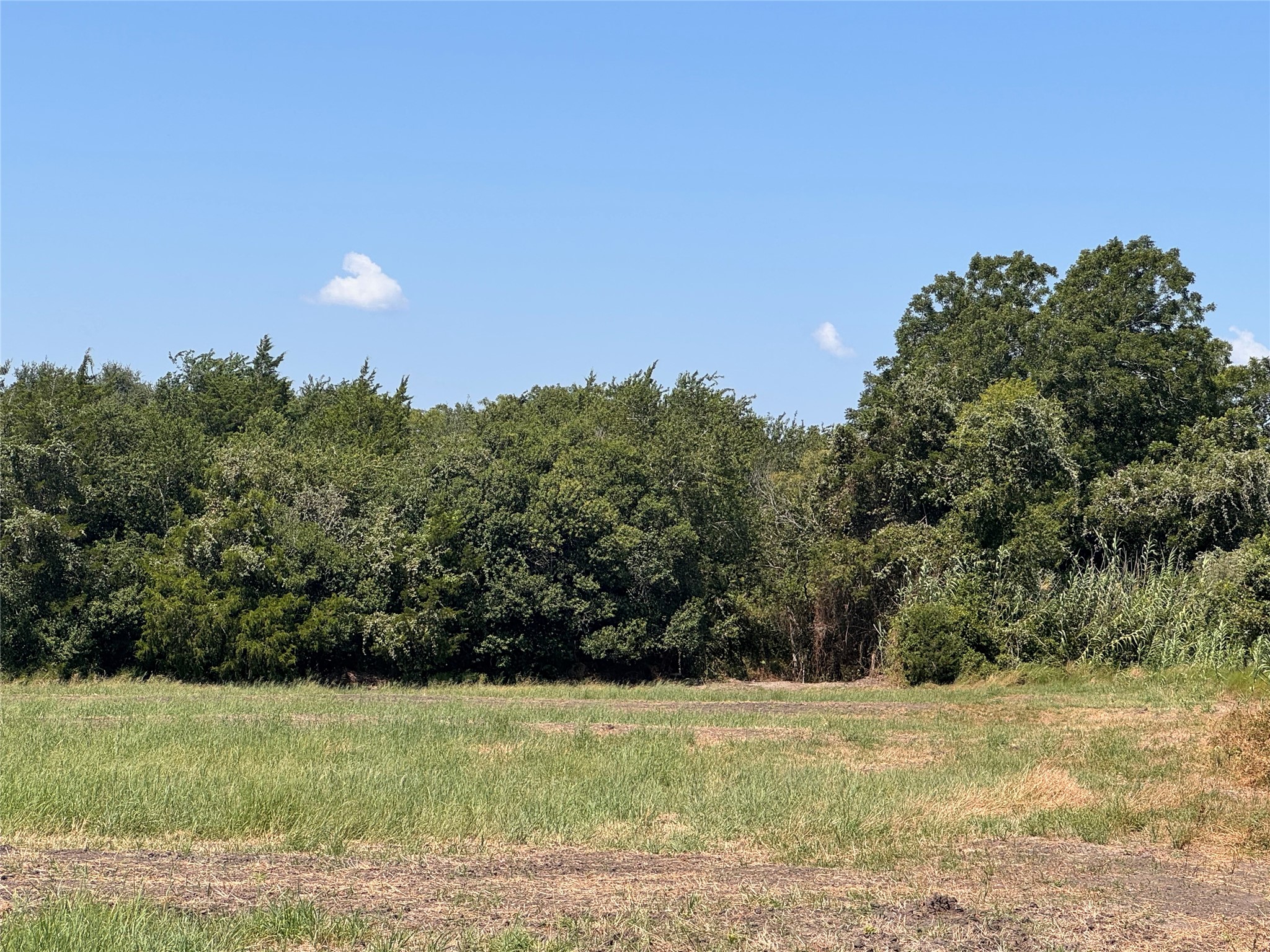 4597 Kubenka Property Photo 5