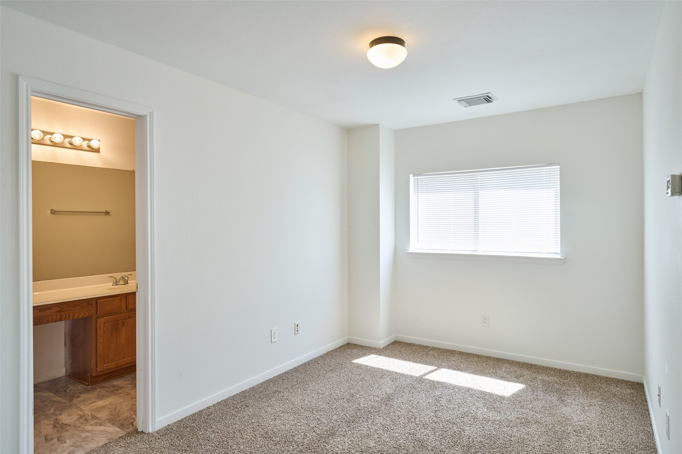 21834 Mossy Field Lane Property Photo 23