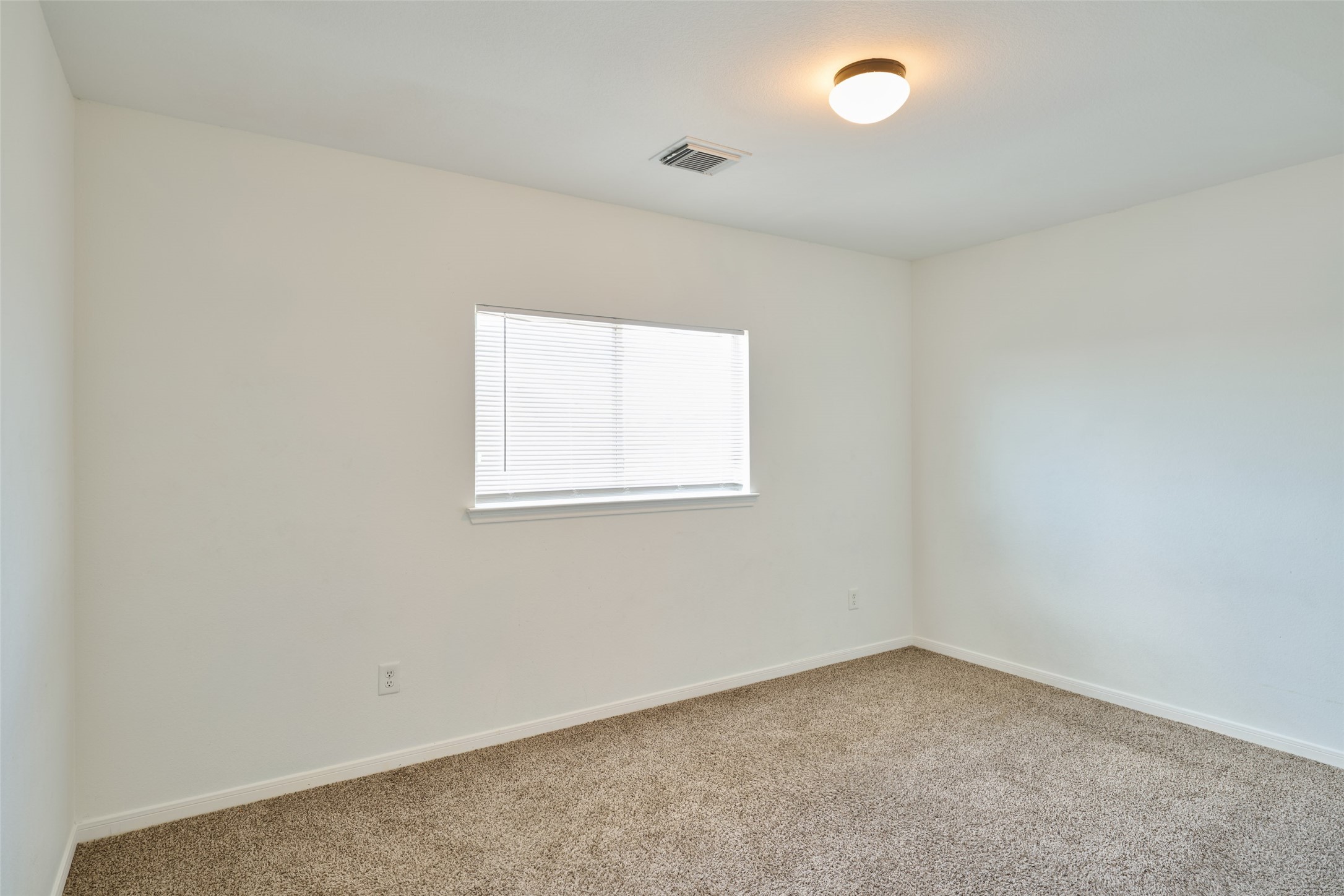 21834 Mossy Field Lane Property Photo 29