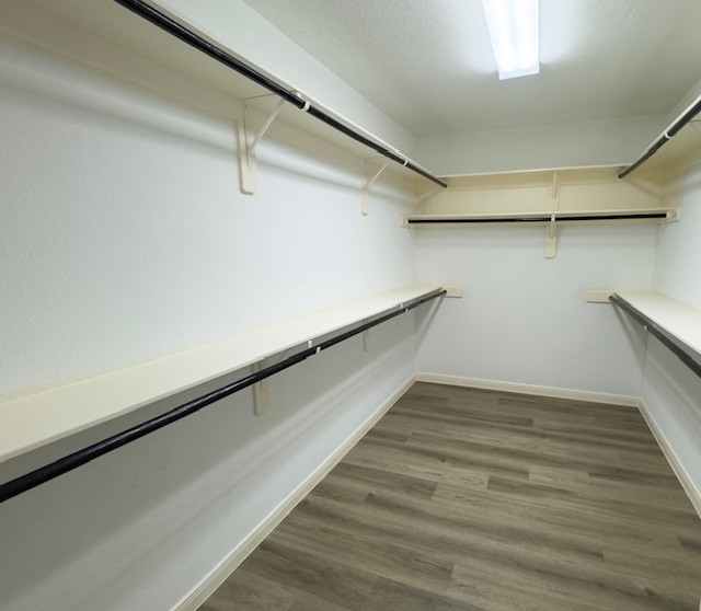 6834 Great Oaks Shadow Drive Property Photo 13