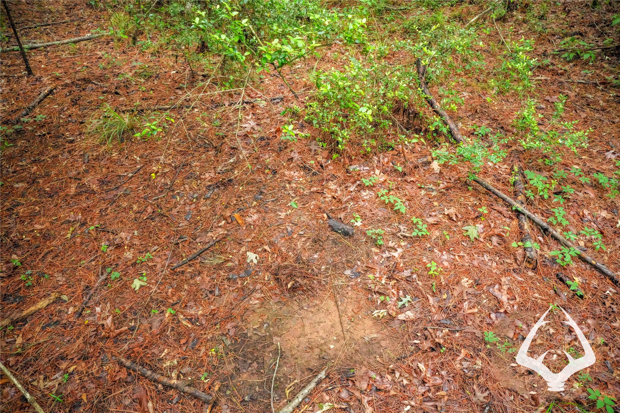 00 Dorsey Road Property Photo 15
