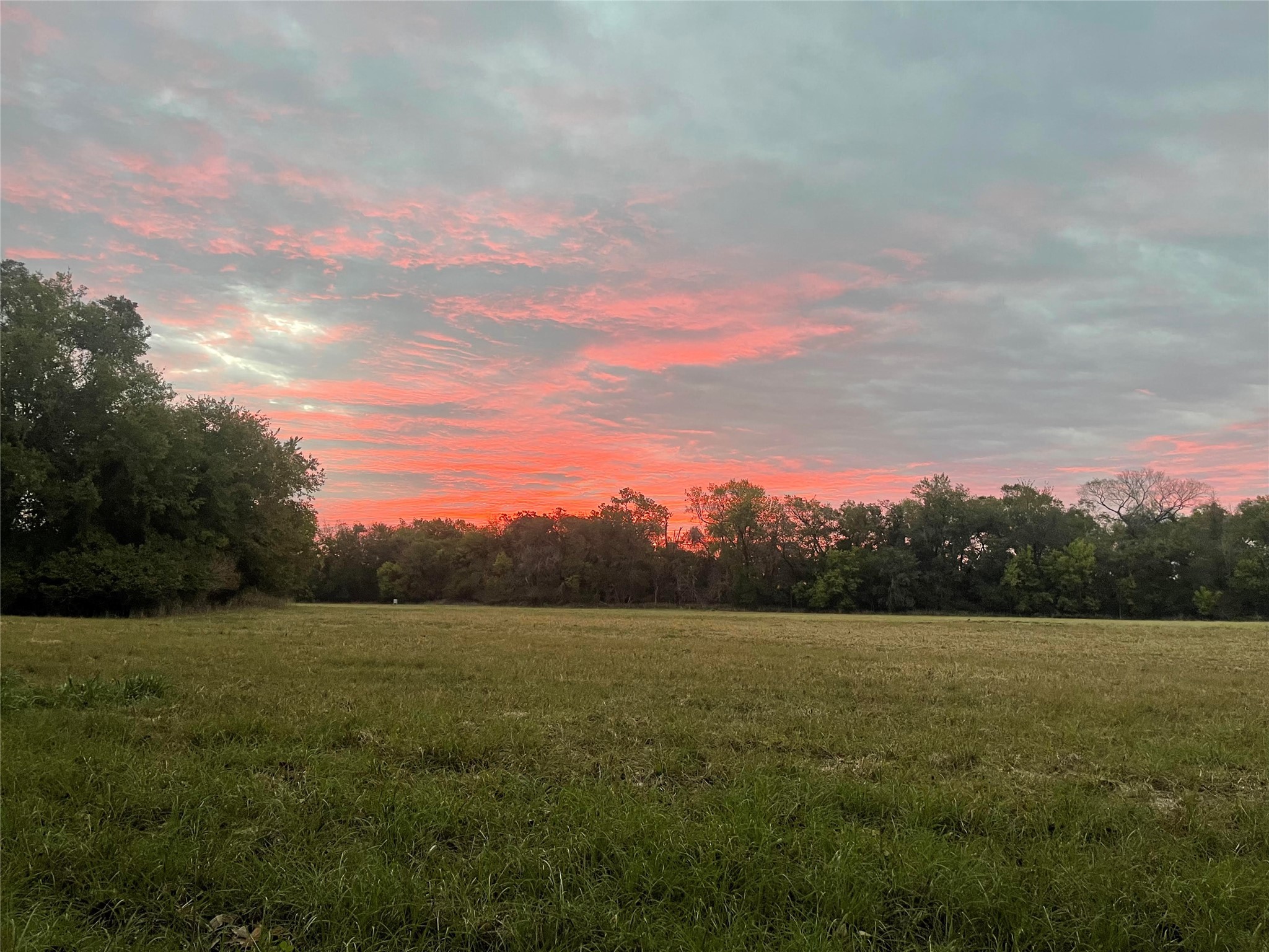 8477 Fm 2780 Road Property Photo
