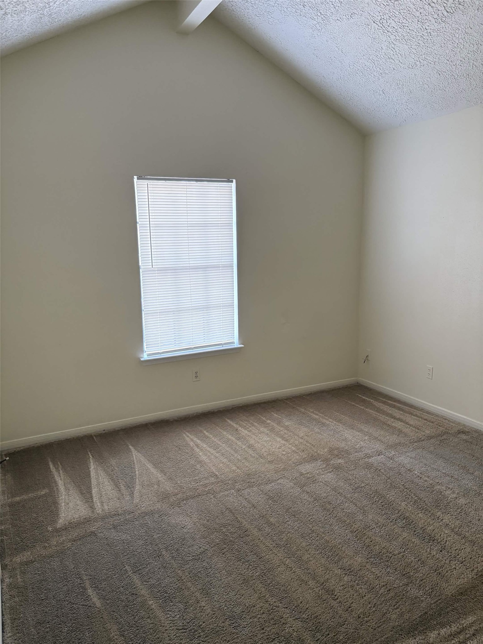 9711 Pine Pass Drive 4 Property Photo 11