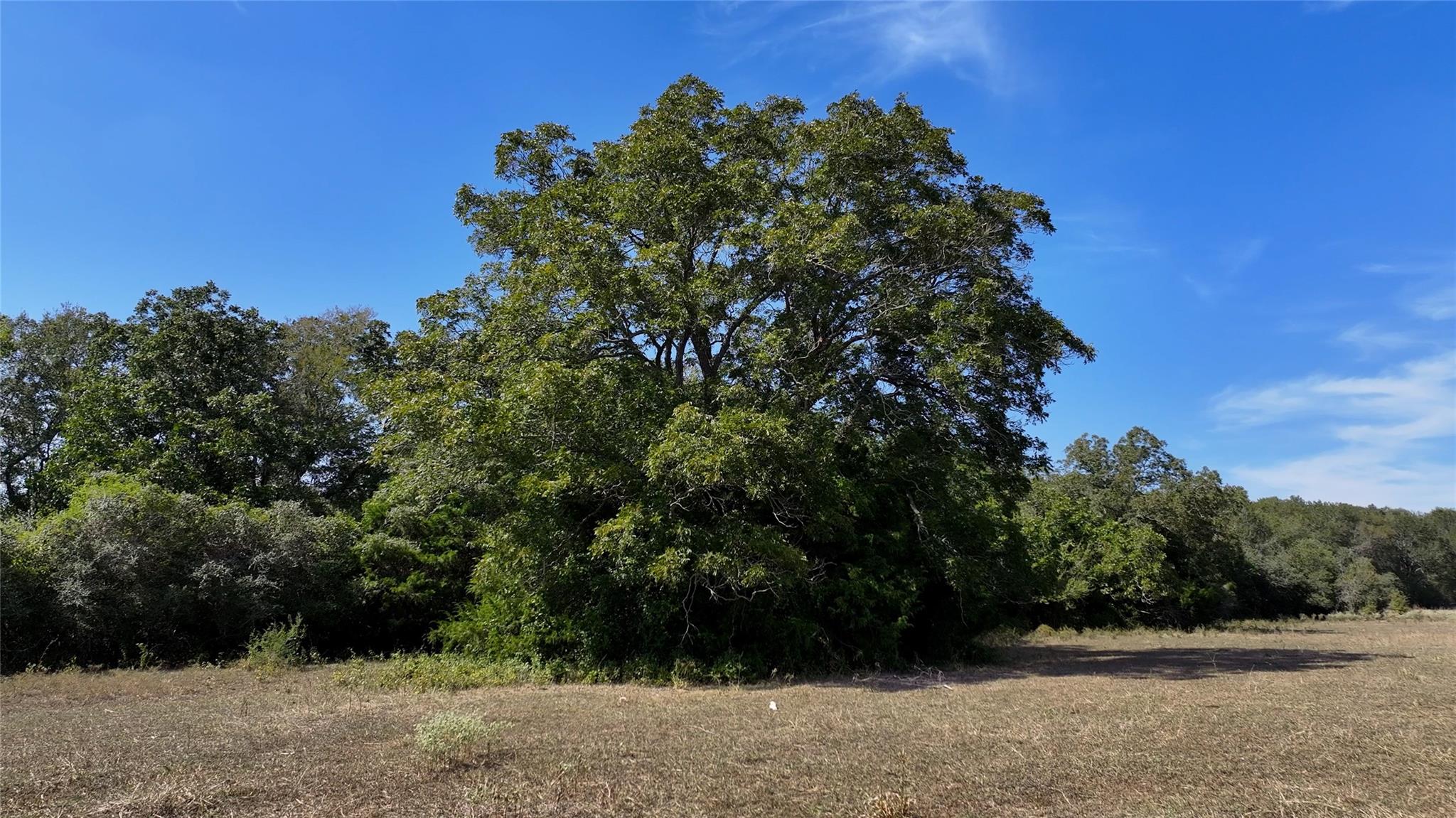 Tbd Hwy 71 E, Fayetteville Tx 78940 Property Photo 4