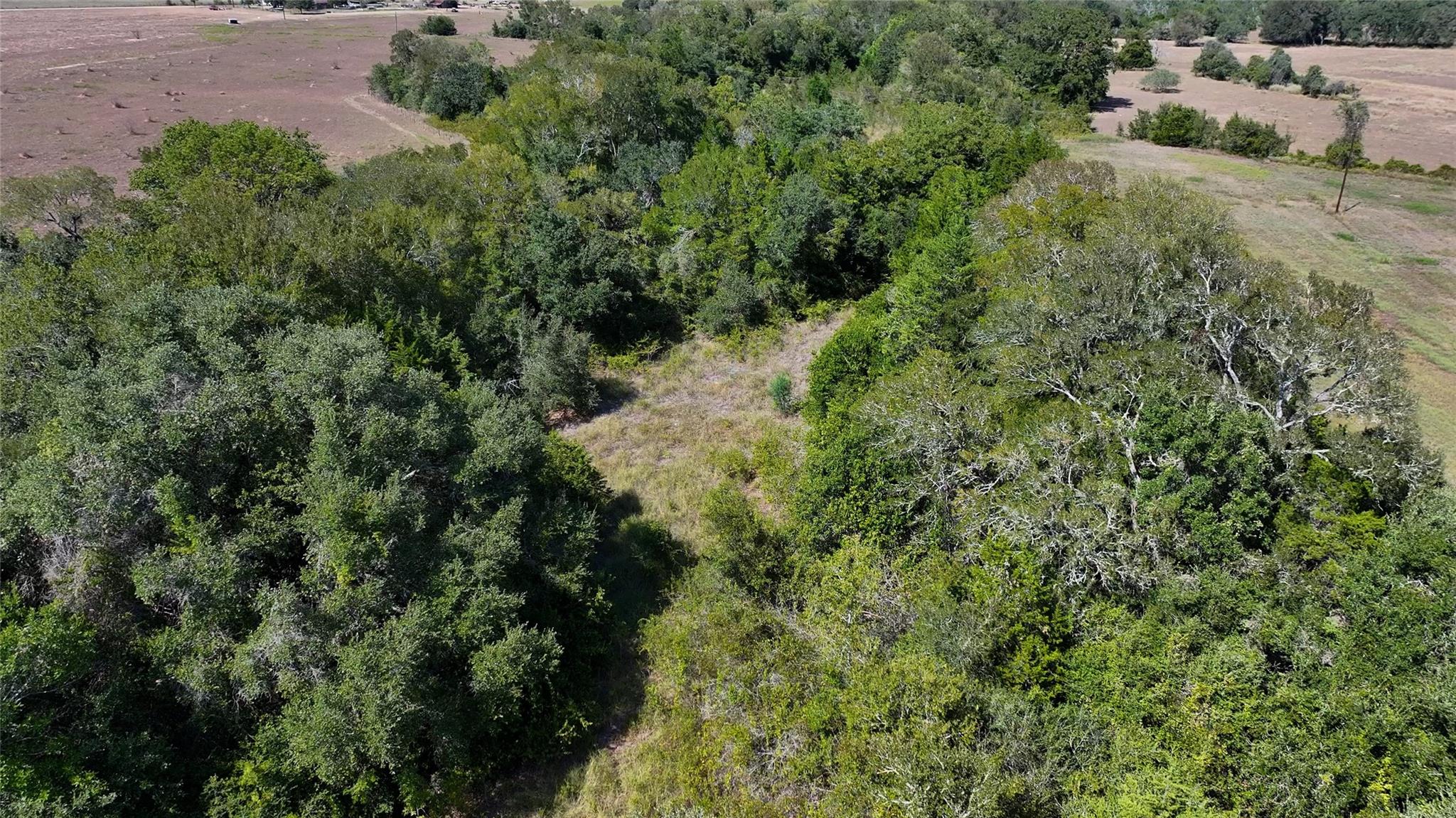 Tbd Hwy 71 E, Fayetteville Tx 78940 Property Photo 8