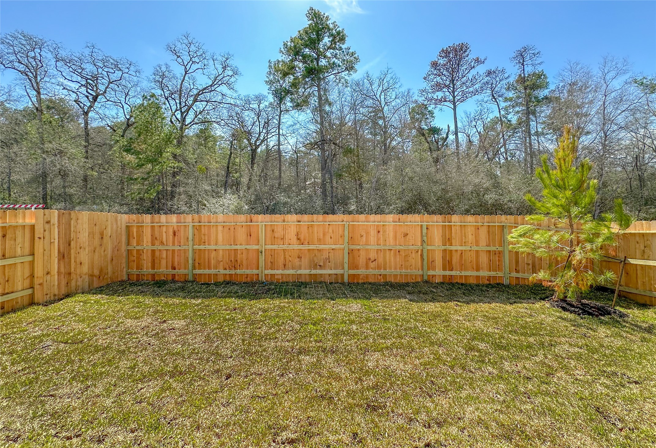 2470 Ridge Oak Drive Property Photo 19