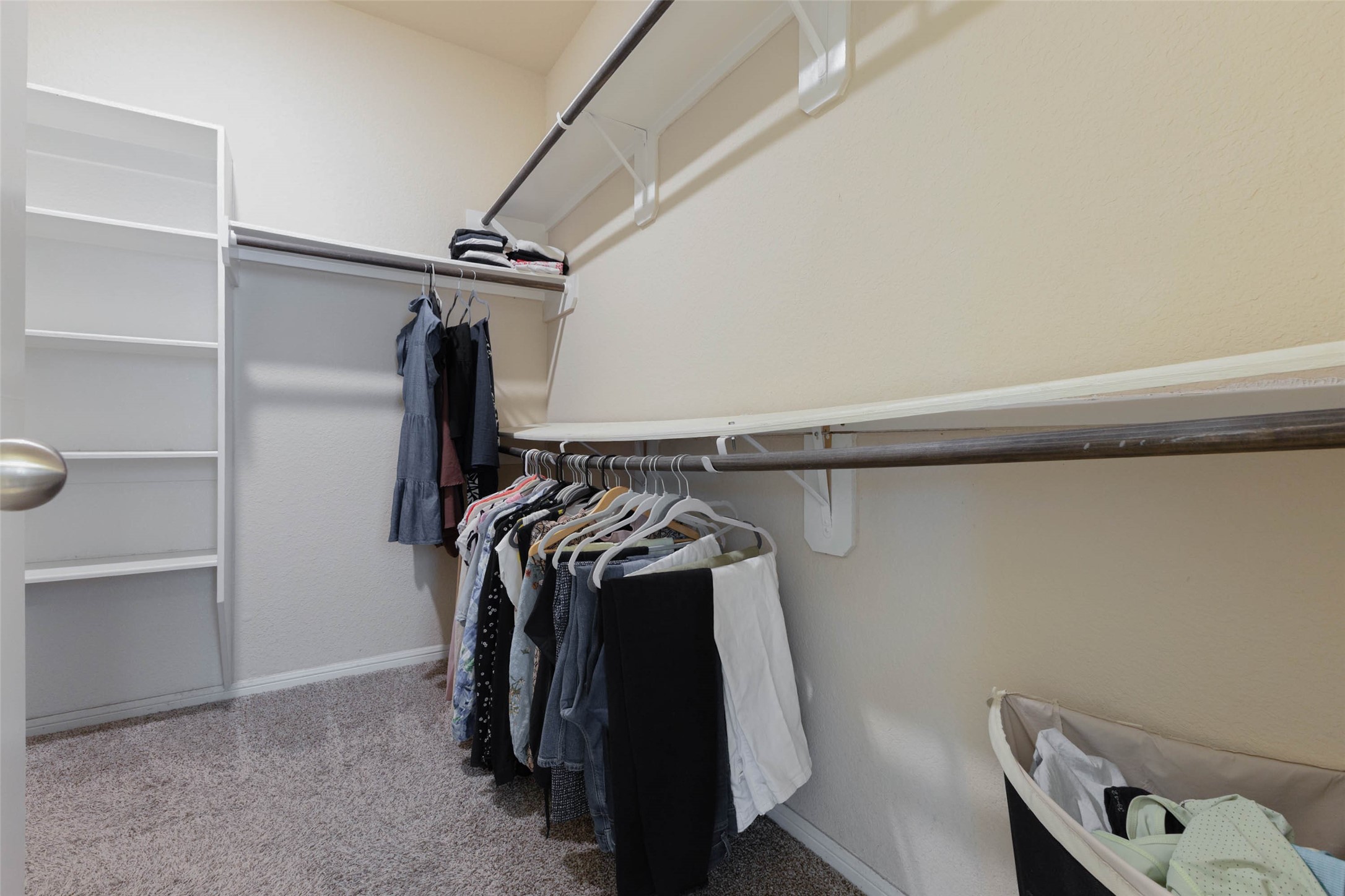 3603 Daintree Park Drive Property Photo 16