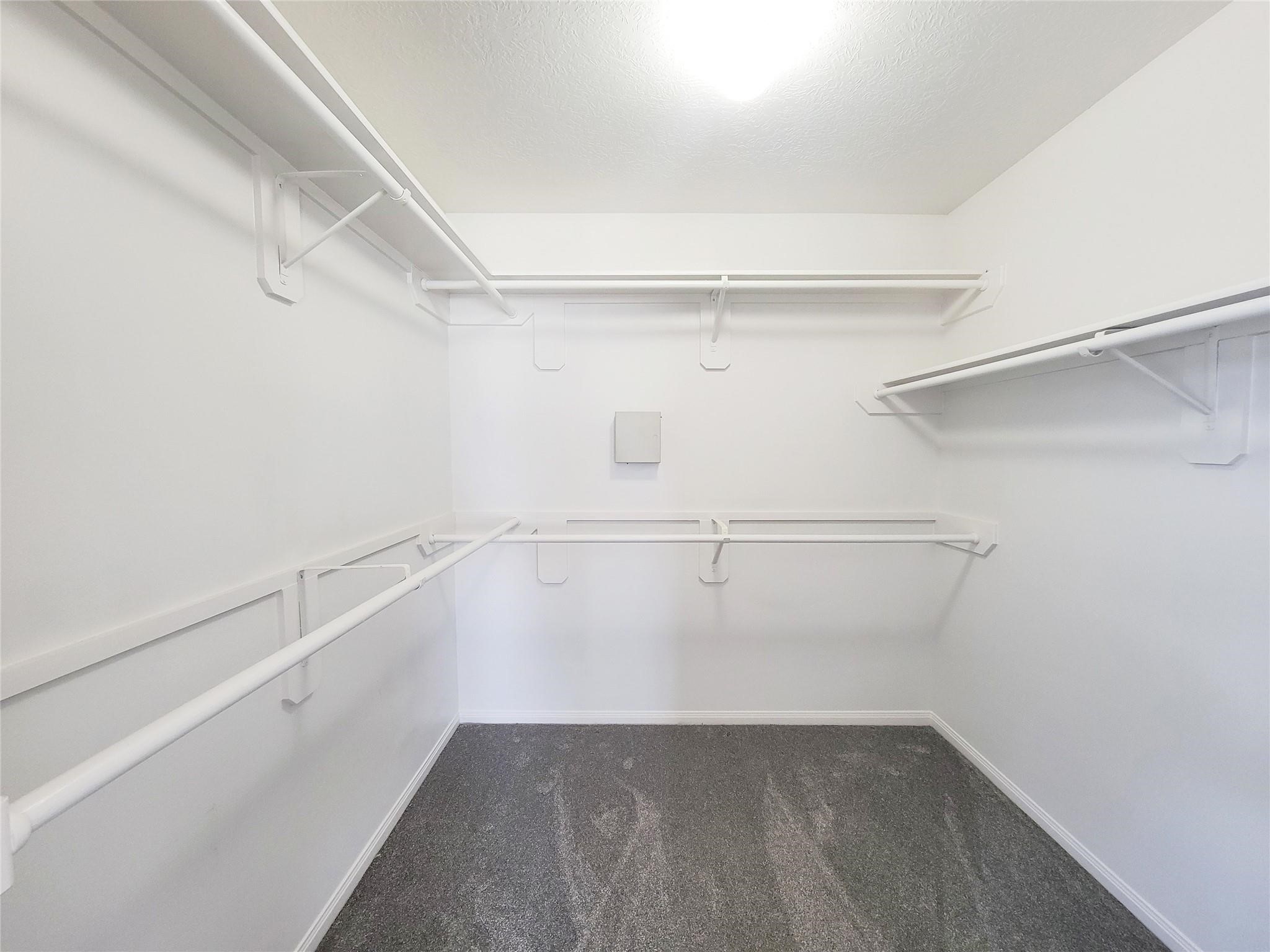 20839 Beech Tree Drive Property Photo 19