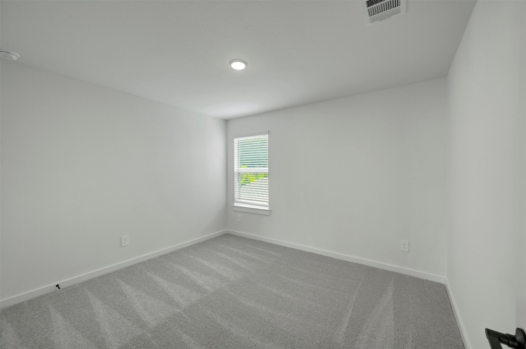 21302 Jacaranda Blossom Way Property Photo 23