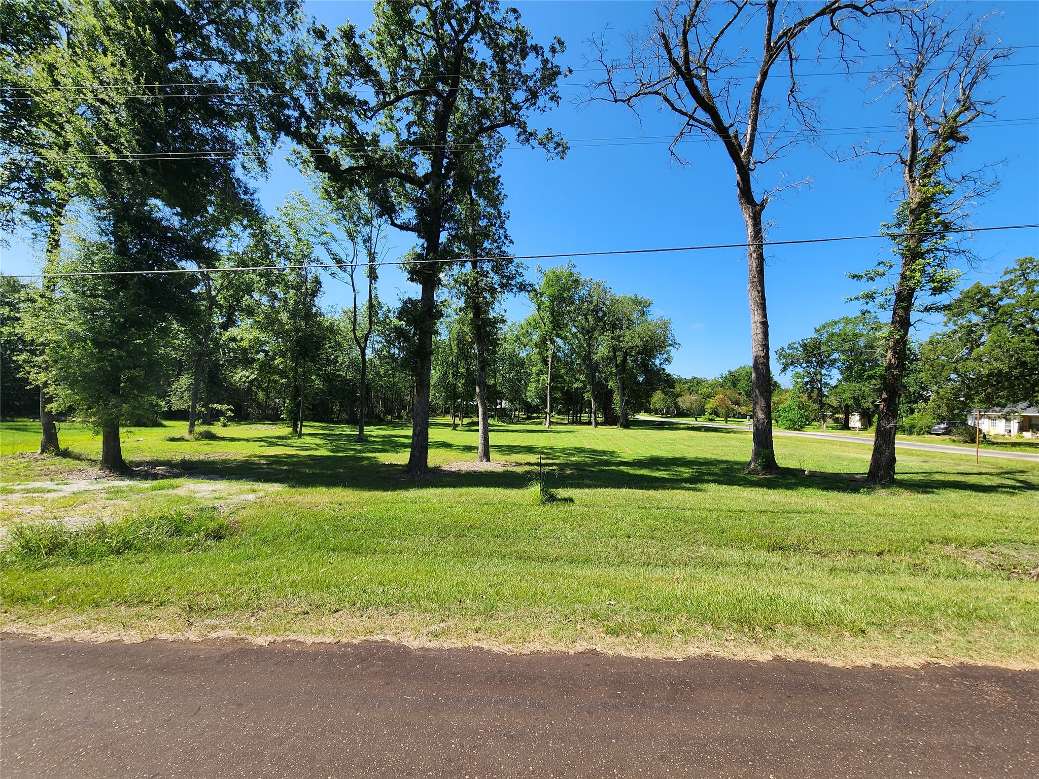 000 Armadillo Drive Property Photo 1