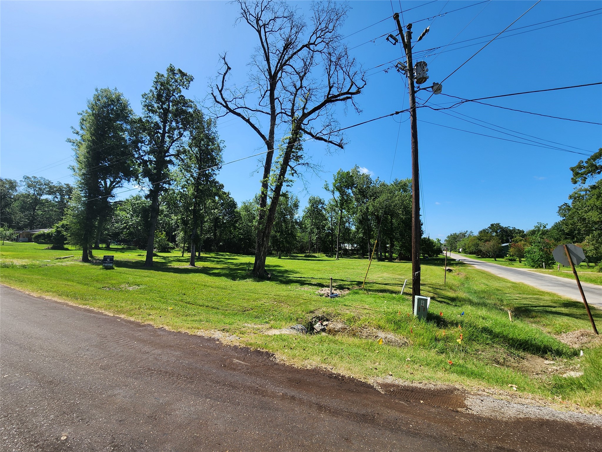 000 Armadillo Drive Property Photo 2