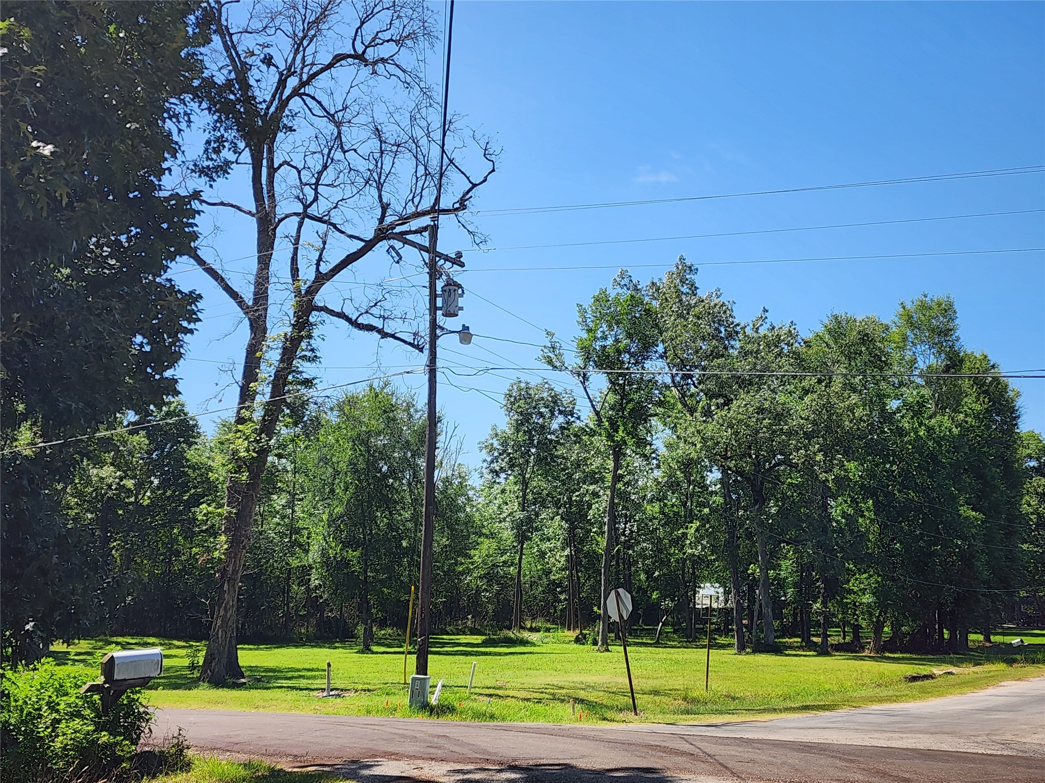 000 Armadillo Drive Property Photo 10
