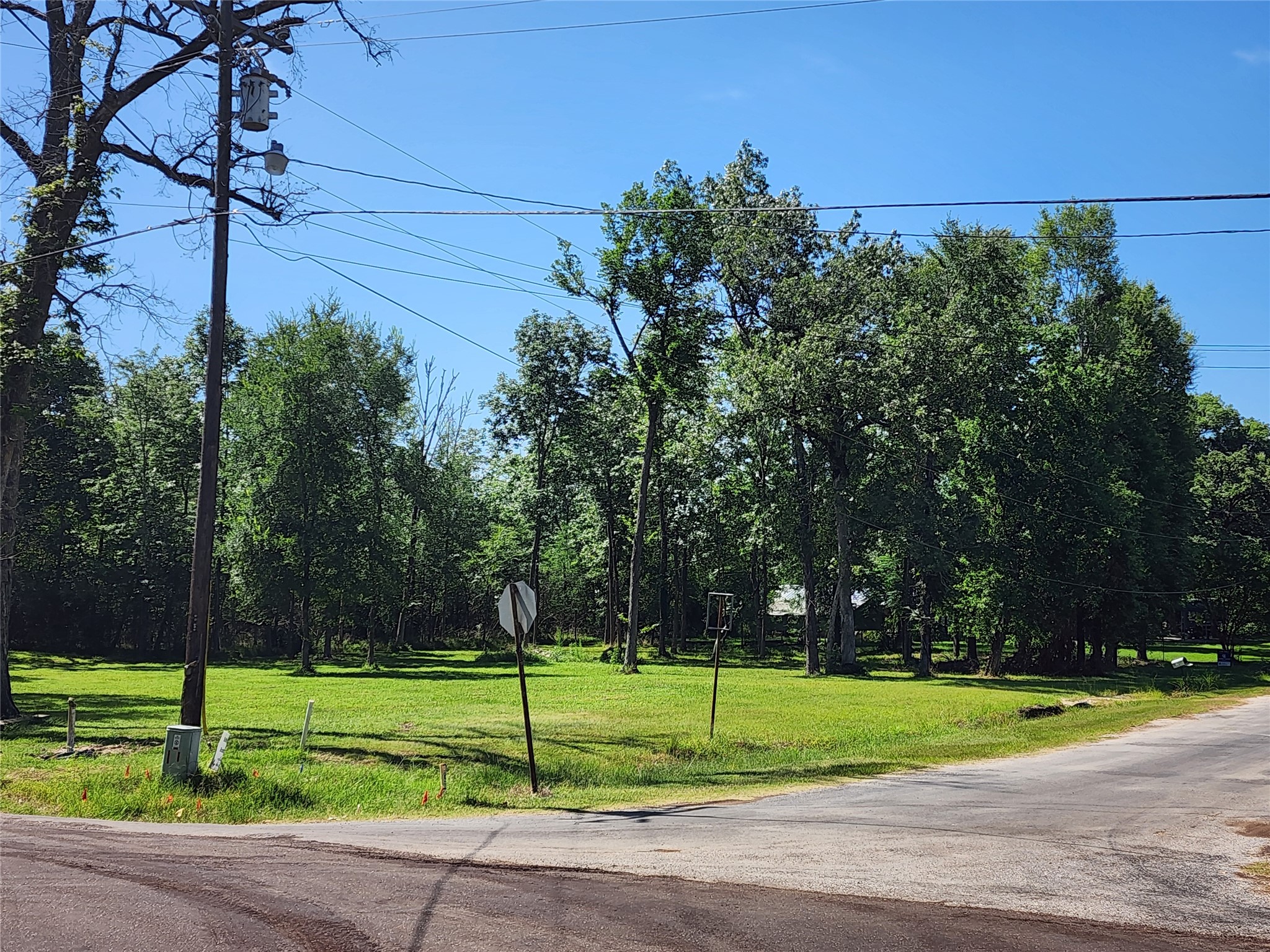 000 Armadillo Drive Property Photo 11
