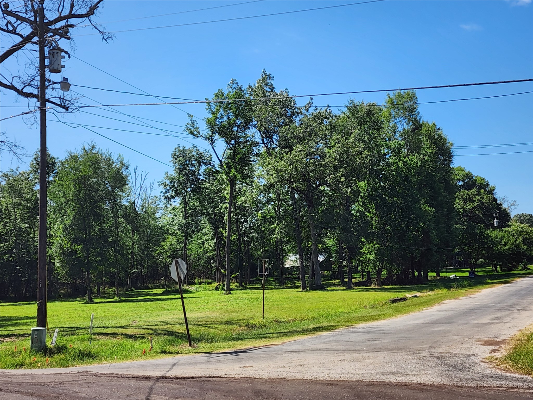 000 Armadillo Drive Property Photo 12