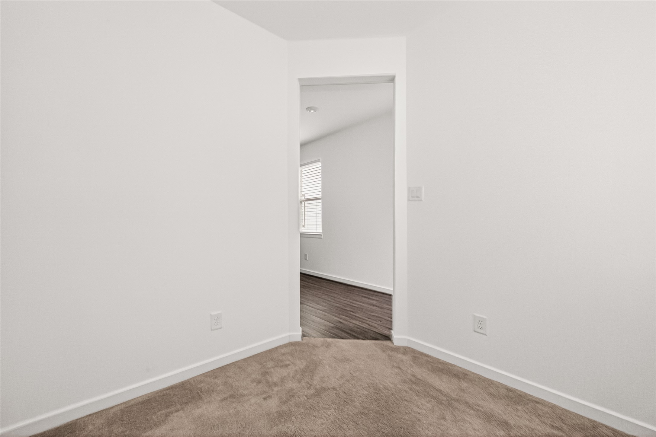 21815 White Bellflower Lane Property Photo 7