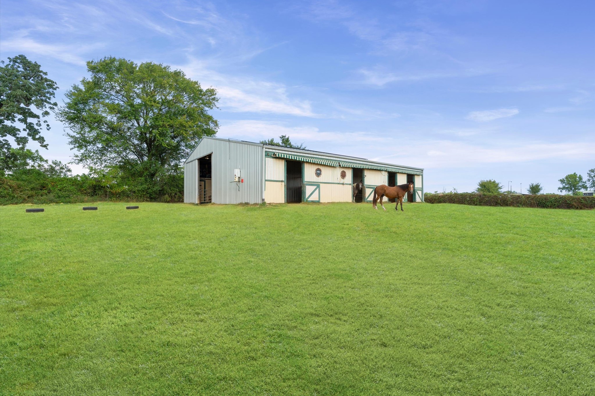 29381 Highway 6 Property Photo 5