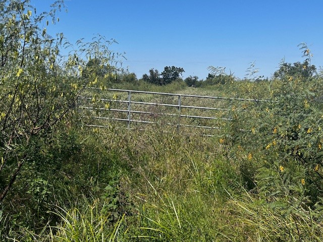 3399 Oil Field Road Property Photo 4