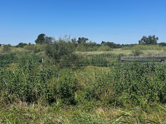 3399 Oil Field Road Property Photo 5
