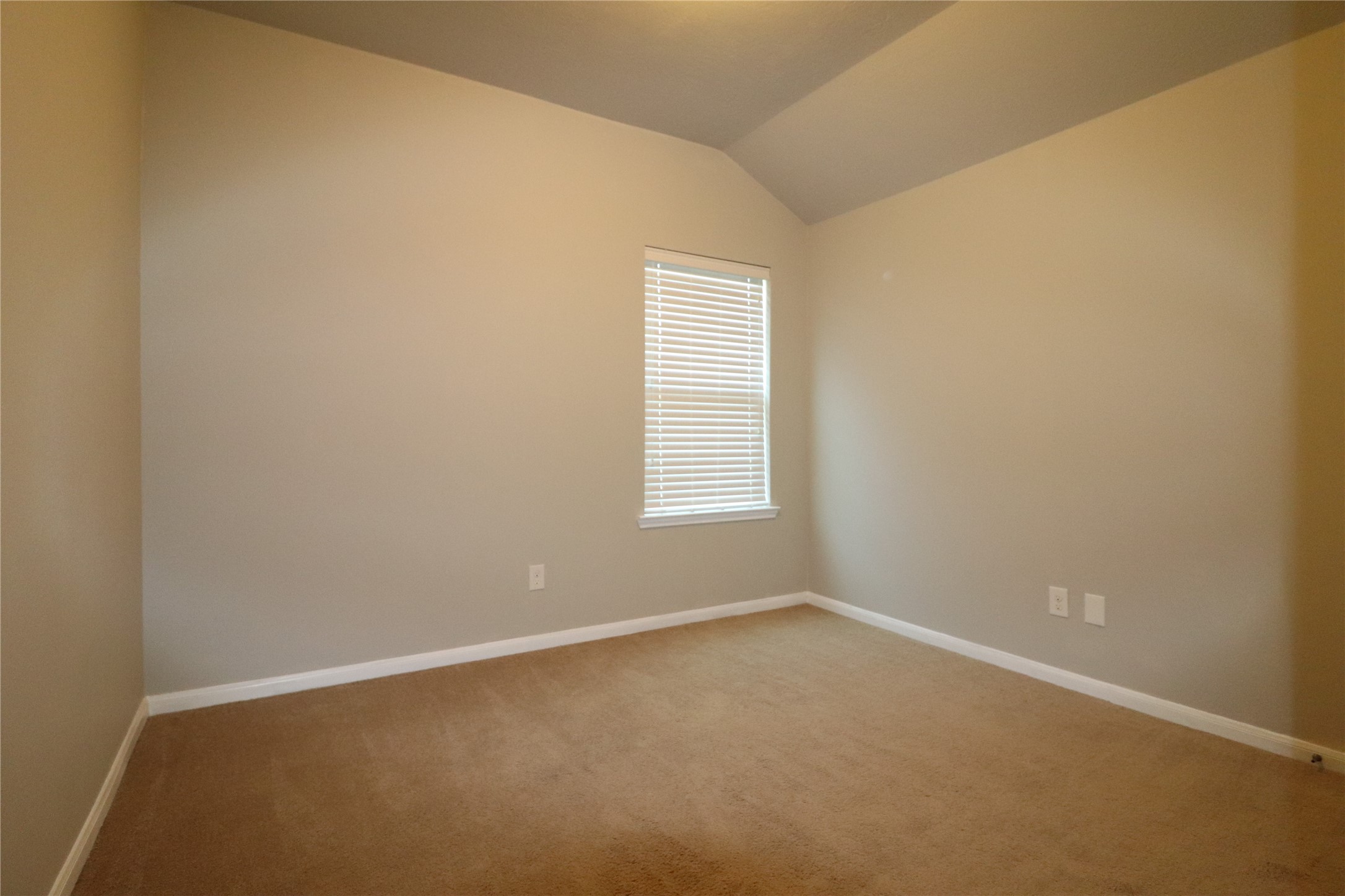 9027 Fuqua Ridge Lane Property Photo 22