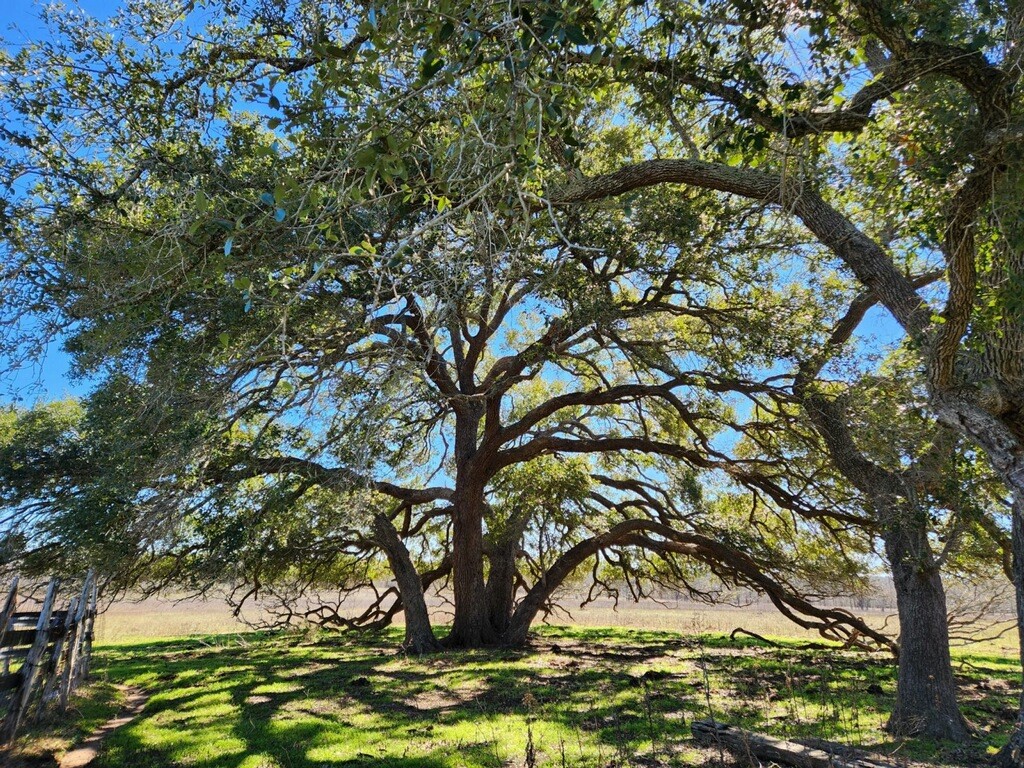 5363 E Us Hwy 90 Property Photo 6