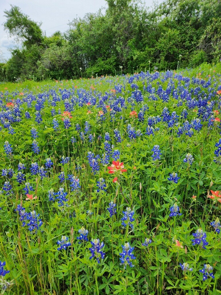 5363 E Us Hwy 90 Property Photo 7