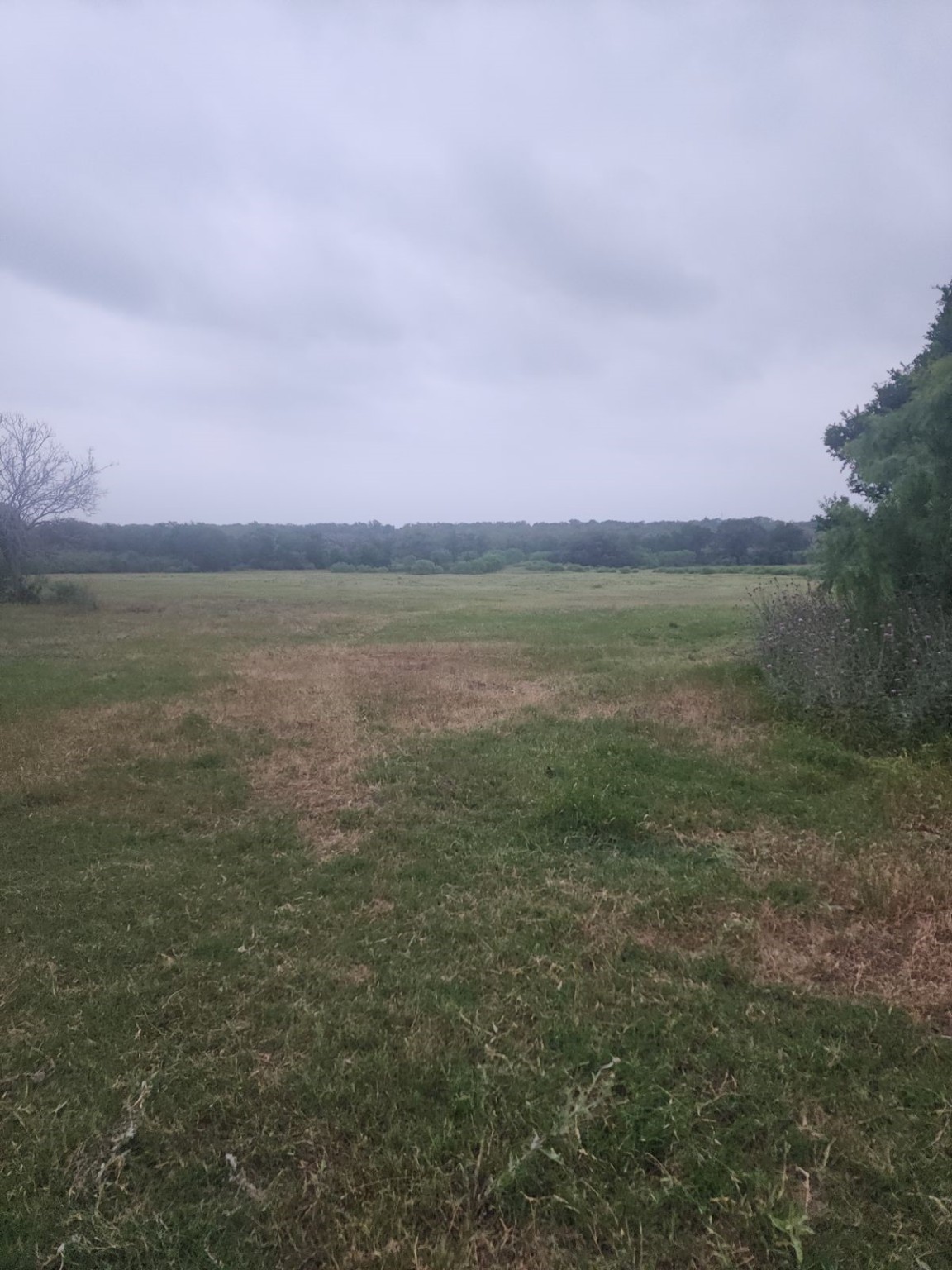 5363 E Us Hwy 90 Property Photo 16