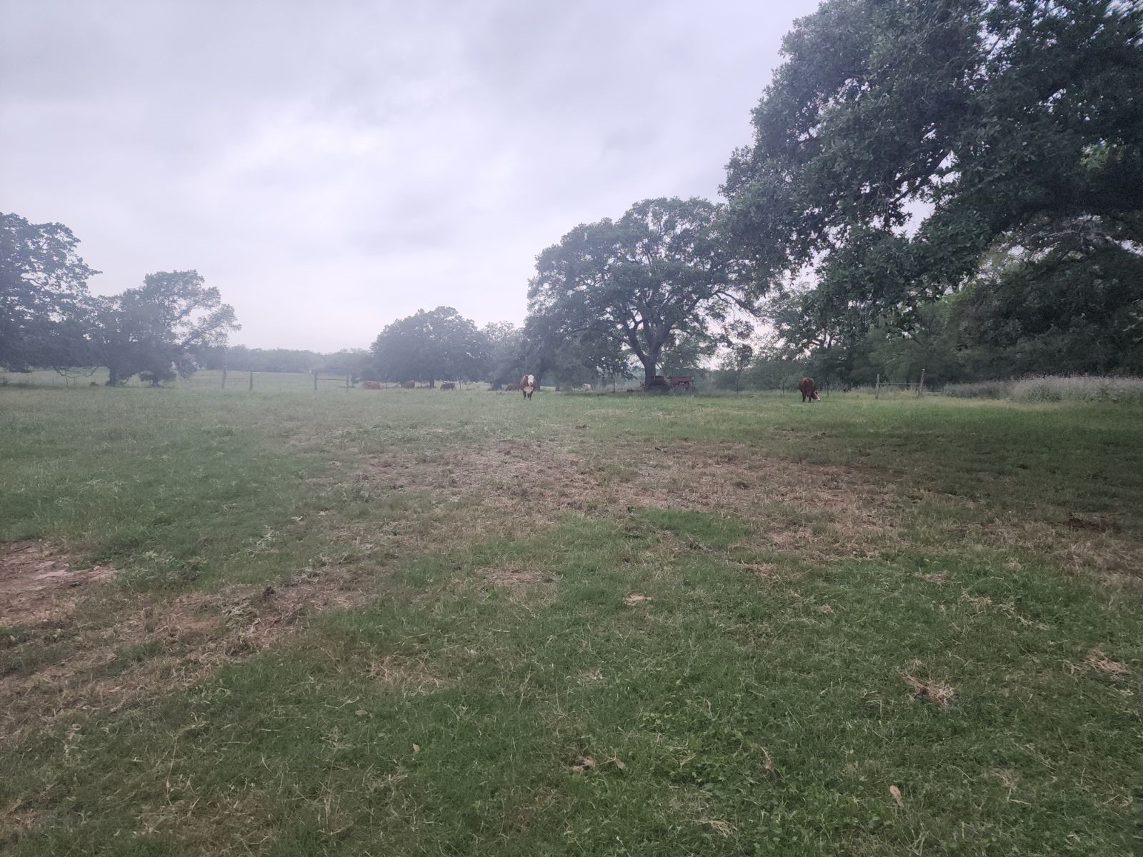 5363 E Us Hwy 90 Property Photo 17