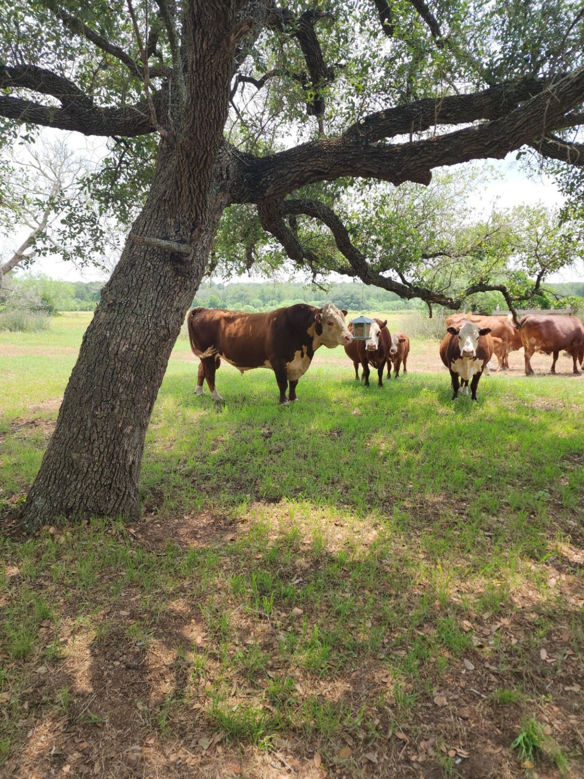 5363 E Us Hwy 90 Property Photo 19