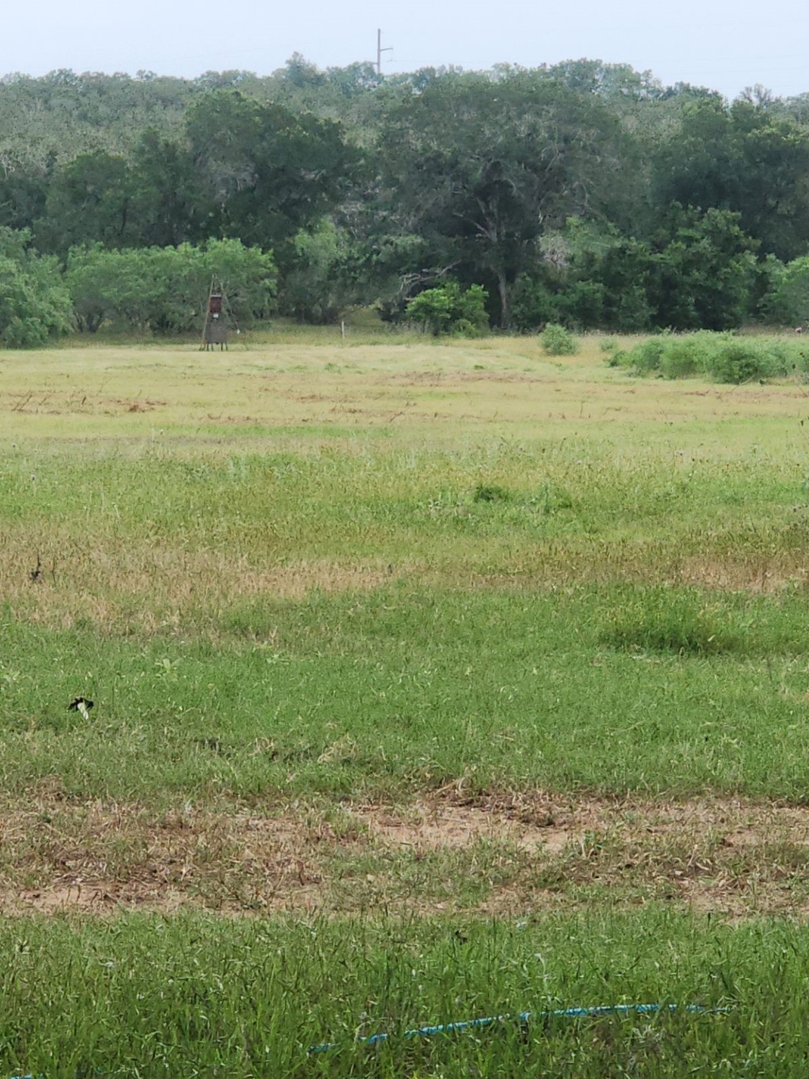 5363 E Us Hwy 90 Property Photo 20