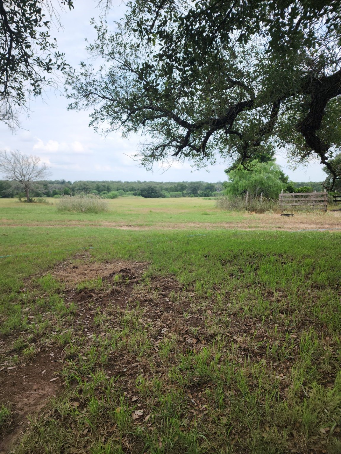 5363 E Us Hwy 90 Property Photo 22