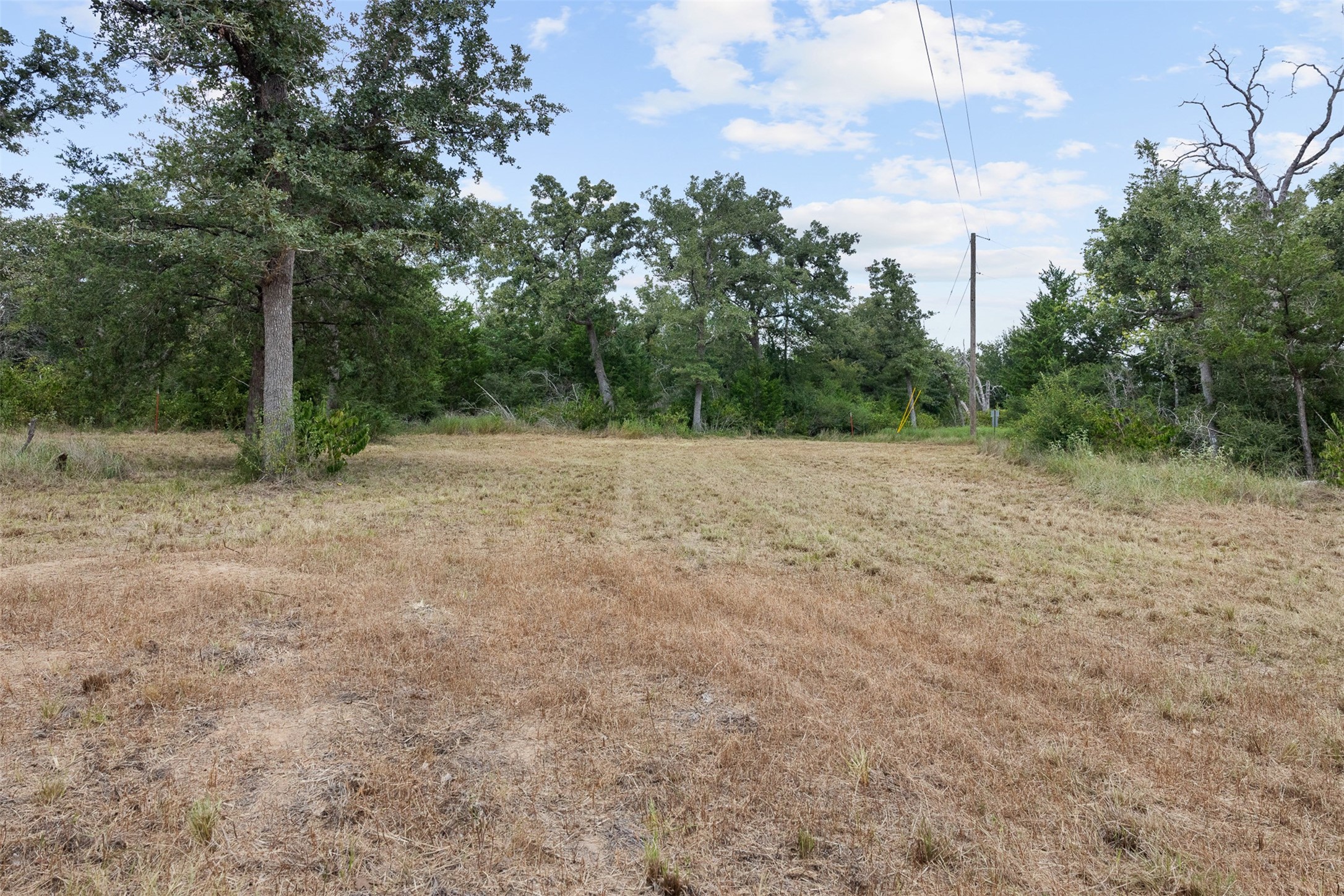 2131 County Road 278 Property Photo 36