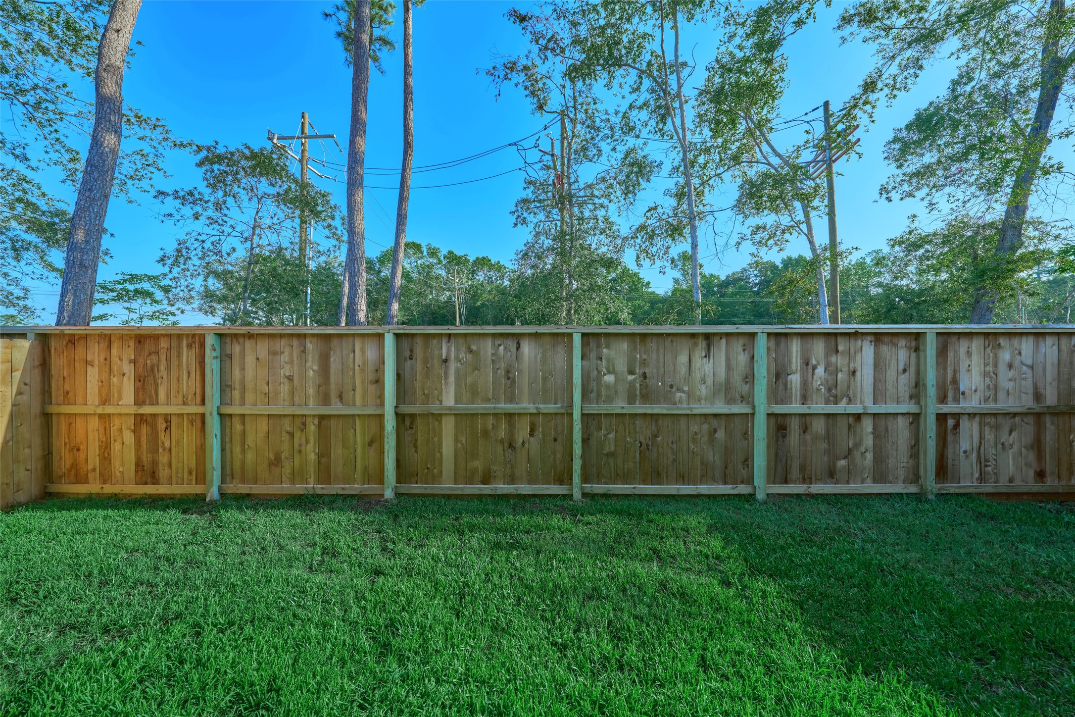 3799 Solanum Drive Property Photo 37