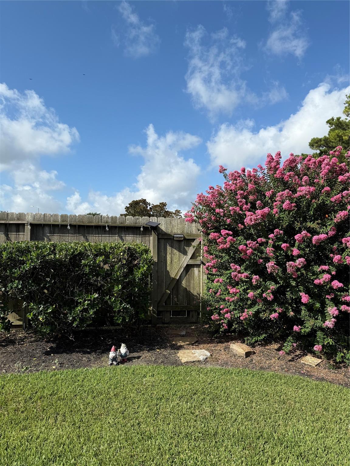 24803 Valleylight Drive Property Photo 40