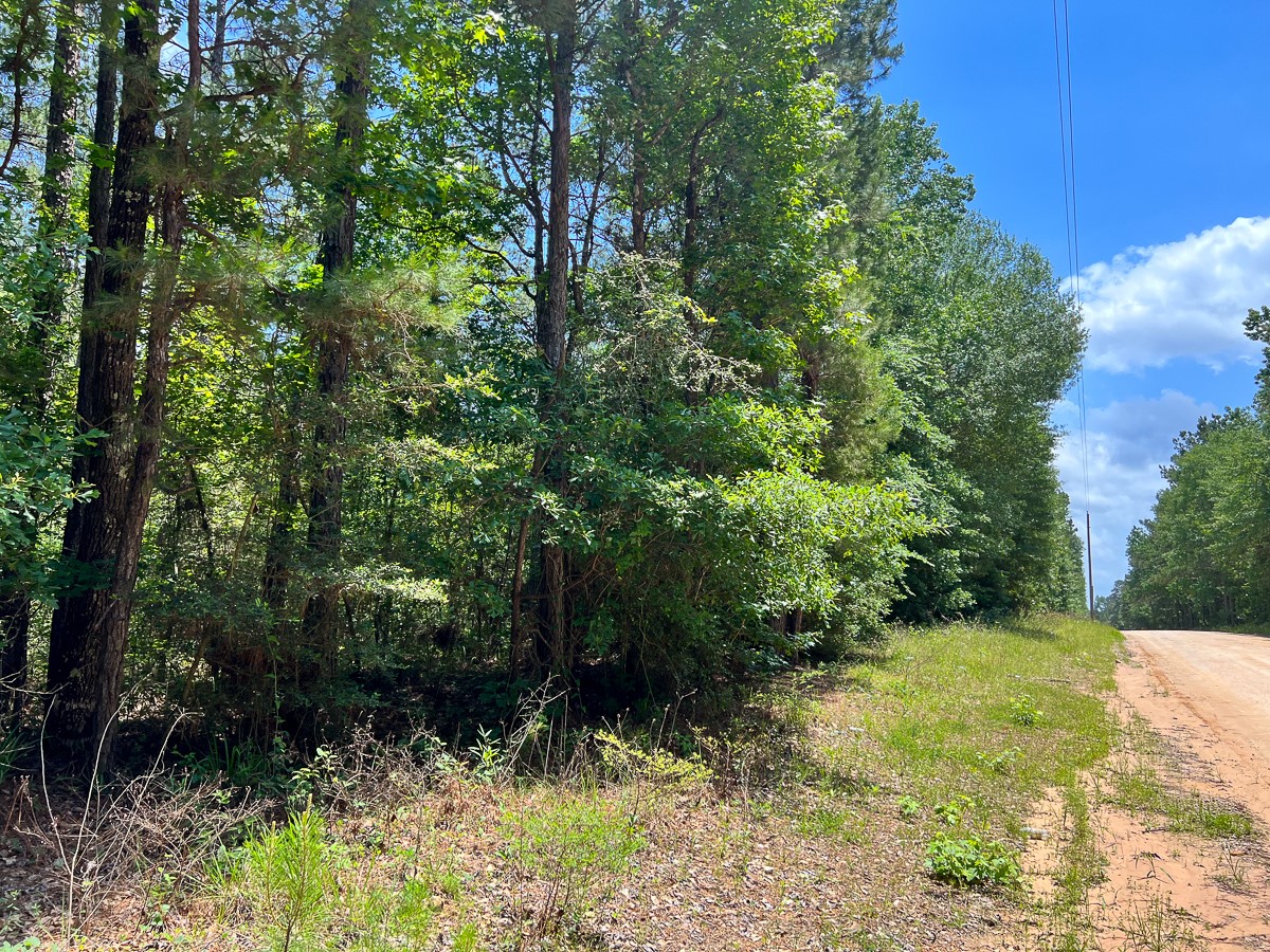 05 Highway 190 Property Photo 12