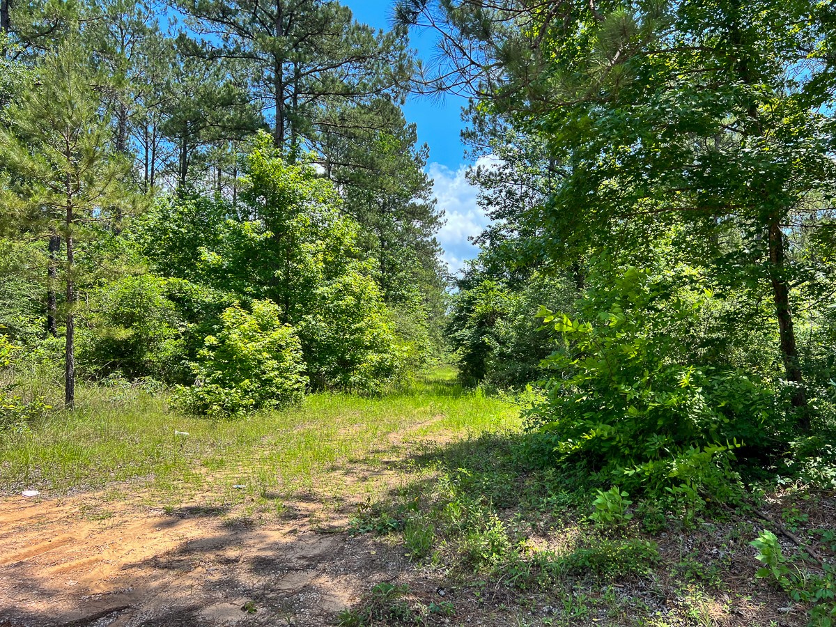 05 Highway 190 Property Photo 13