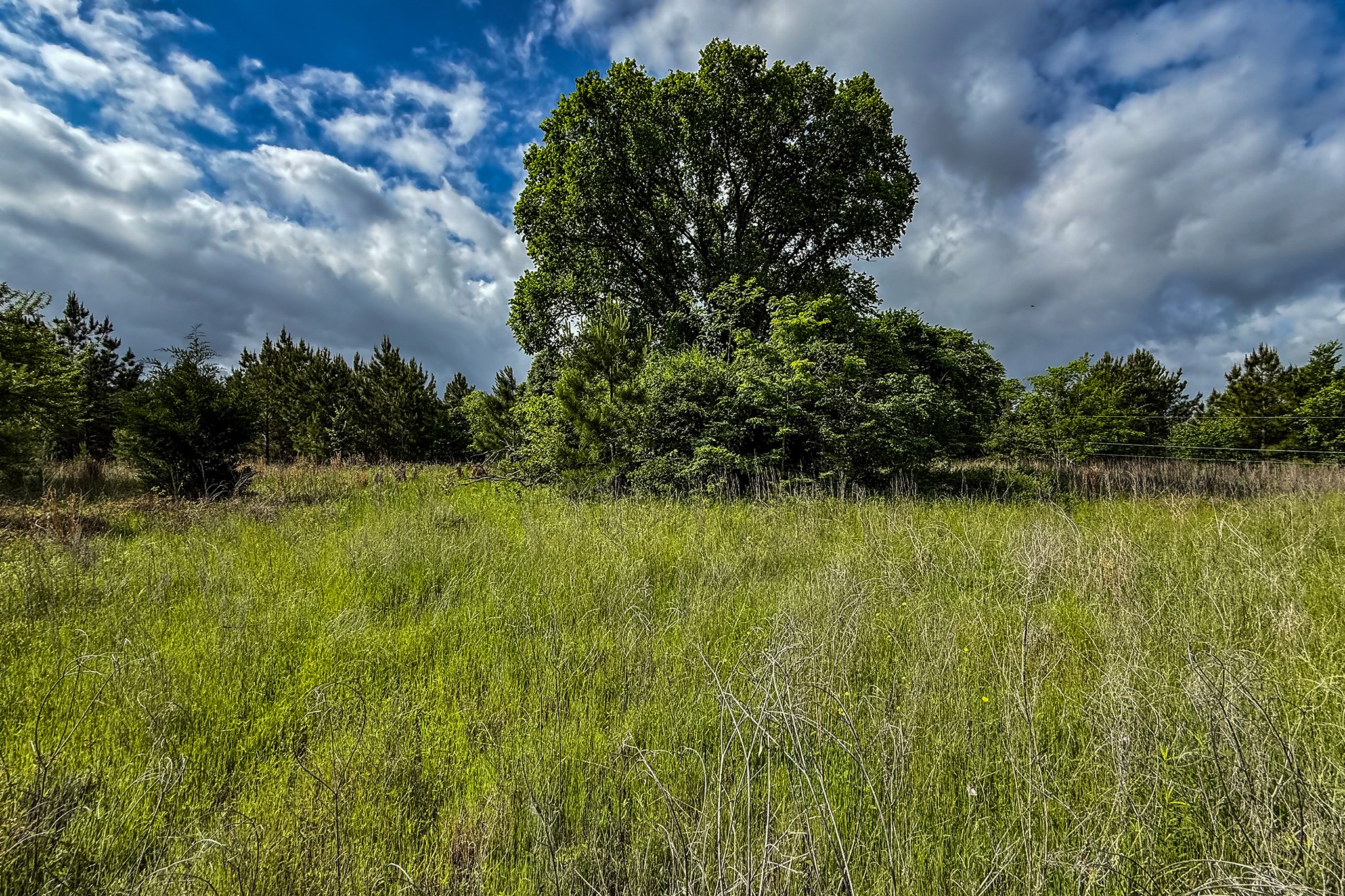 20.49 Acres State Highway 19 Property Photo 2