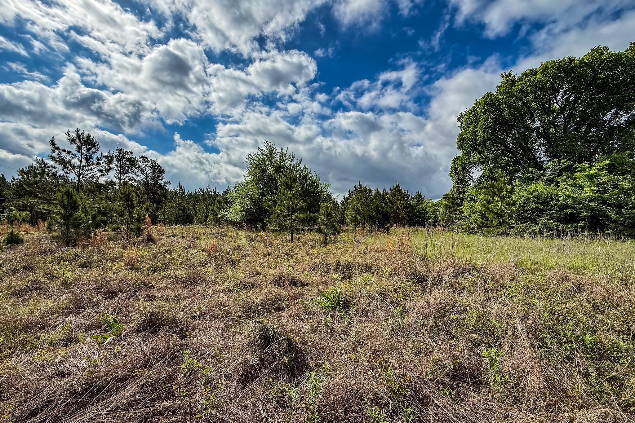 20.49 Acres State Highway 19 Property Photo 7