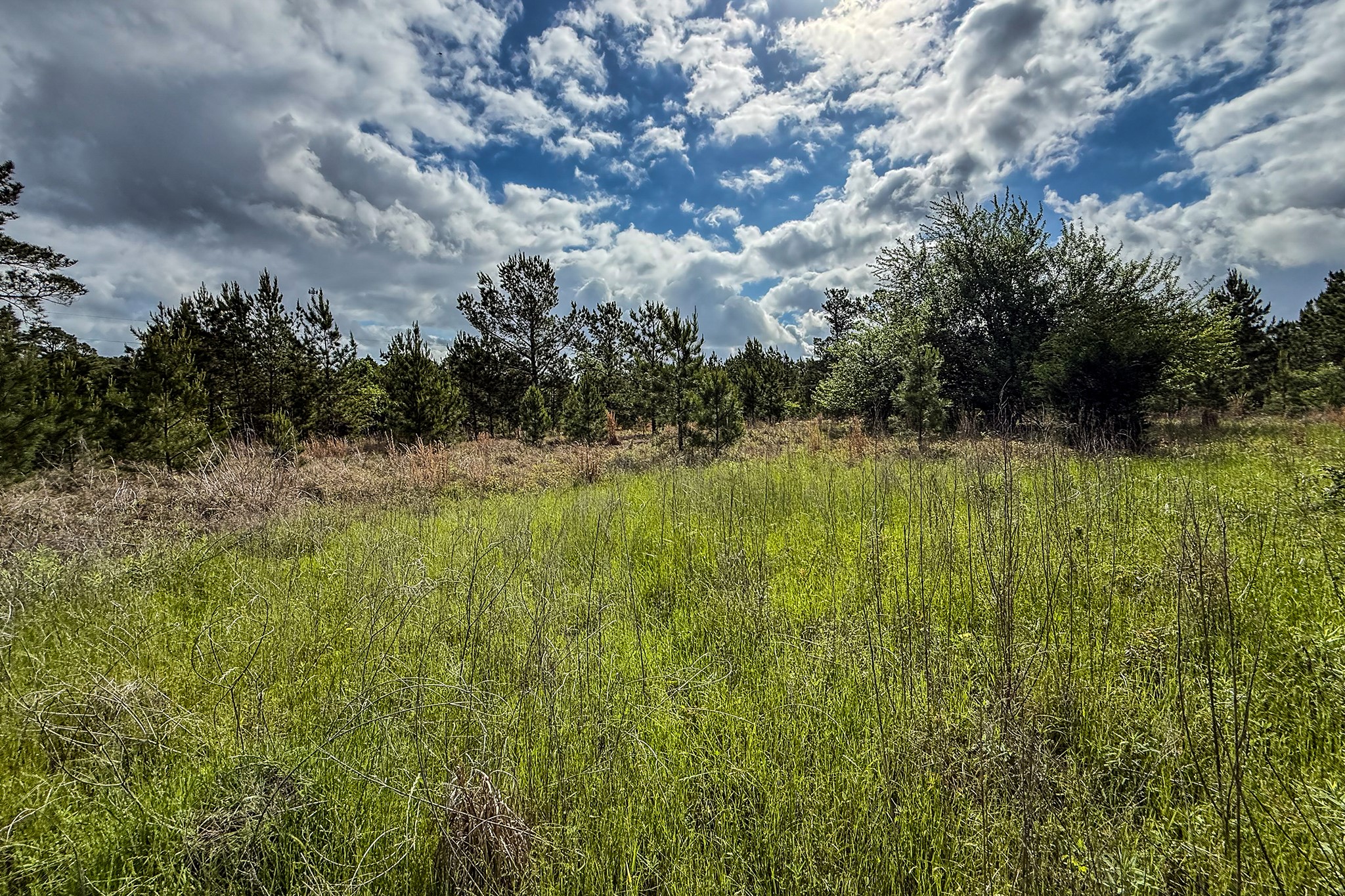 20.49 Acres State Highway 19 Property Photo 10