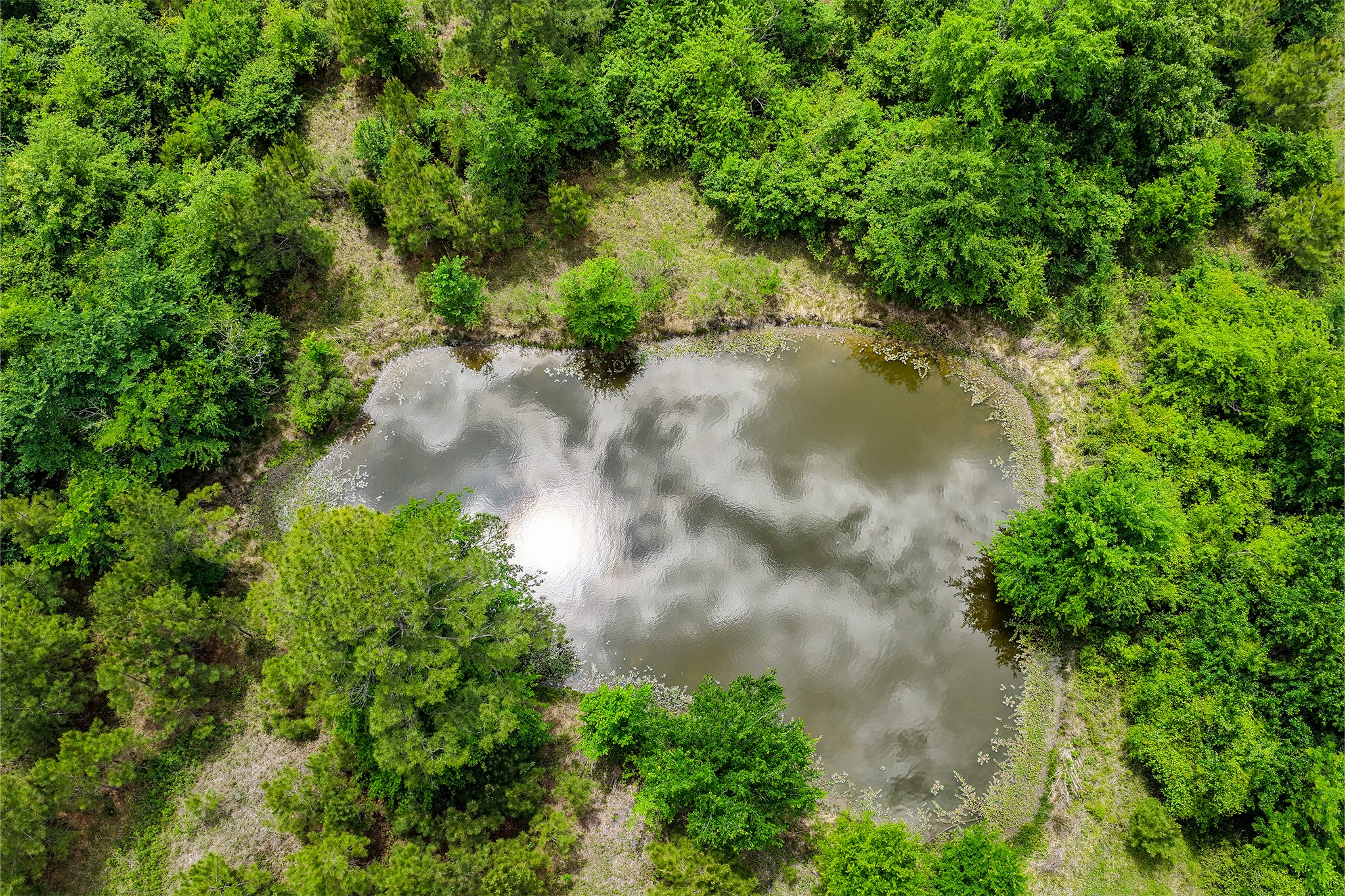 20.49 Acres State Highway 19 Property Photo 11